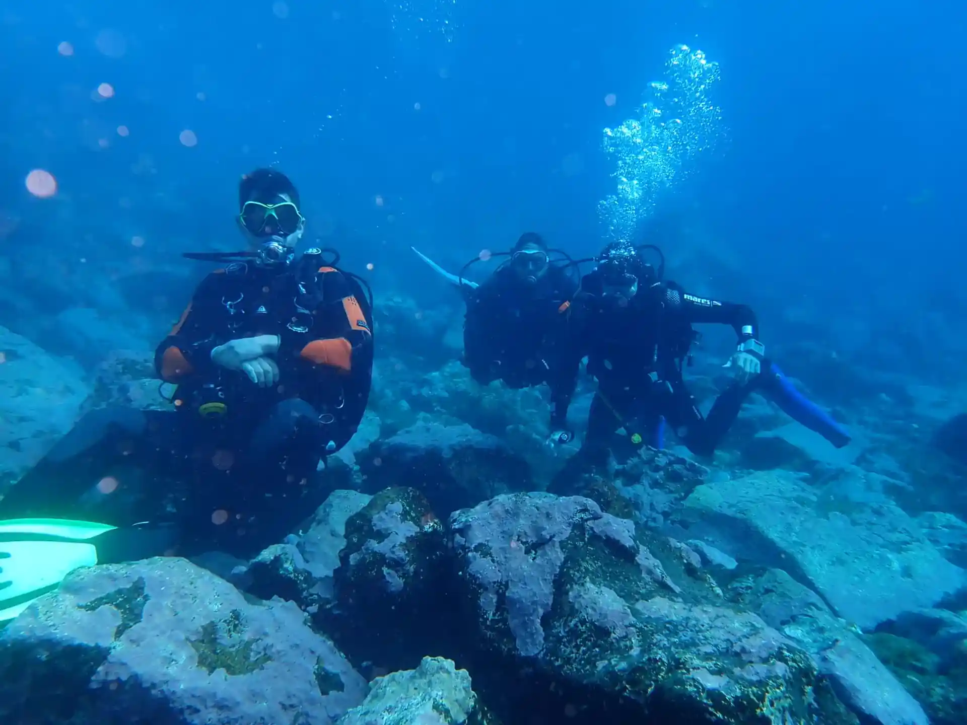 Foto de la actividad