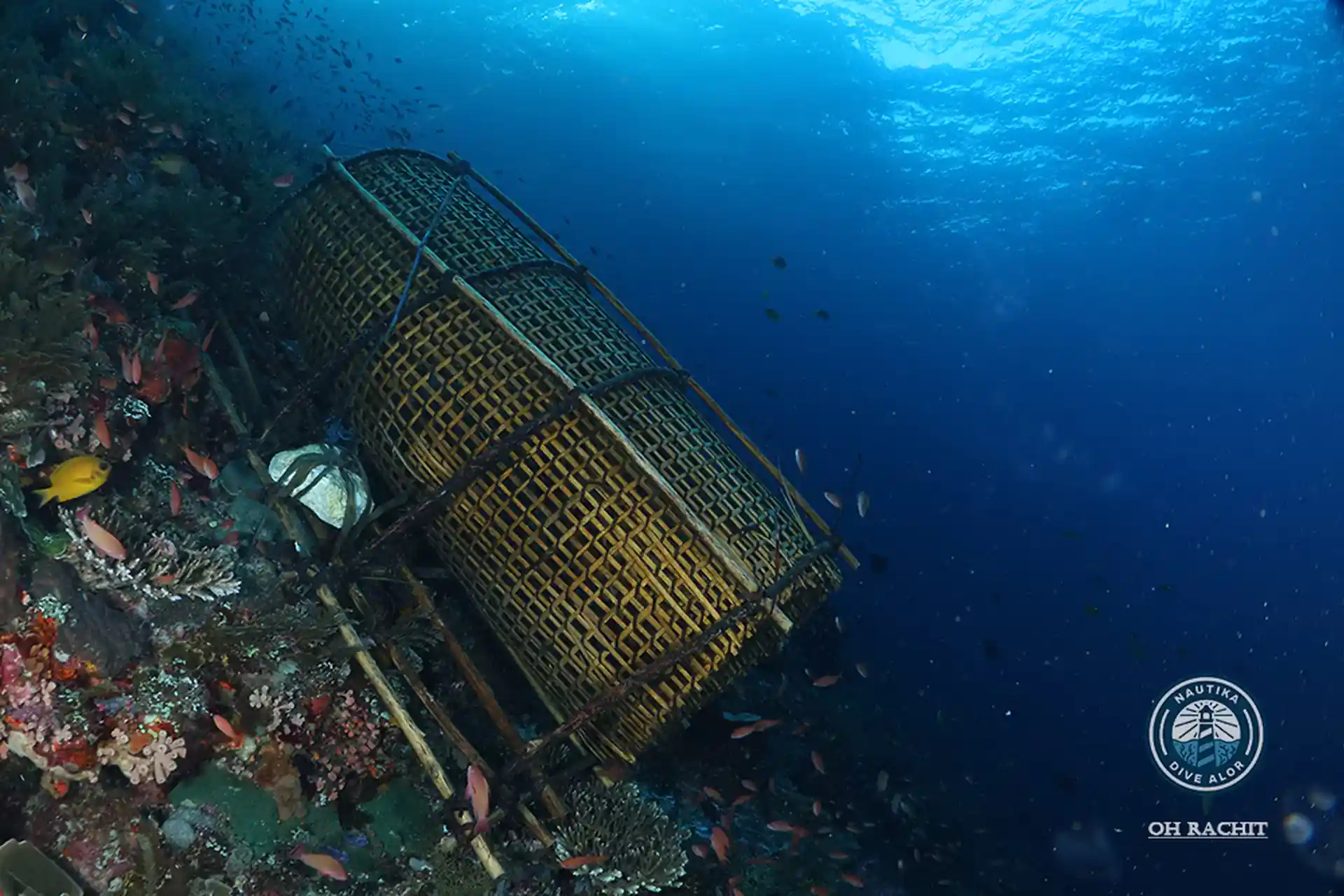 Dive site photo