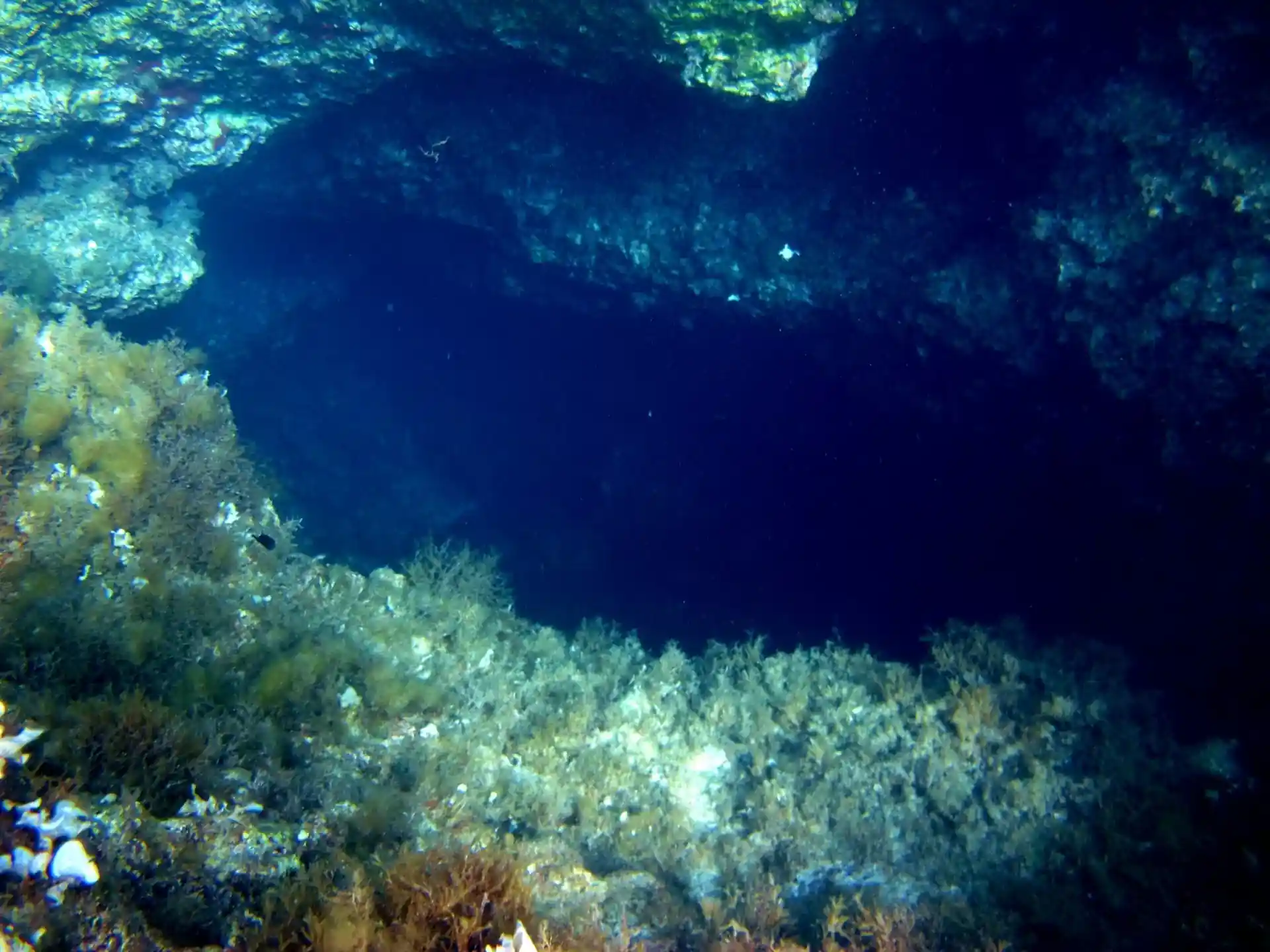 Dive site photo