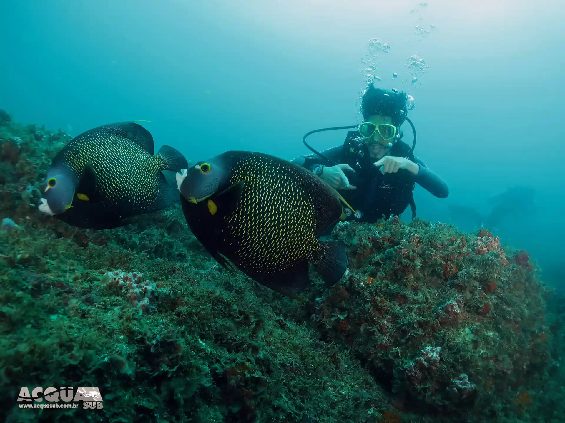 Dive site photo