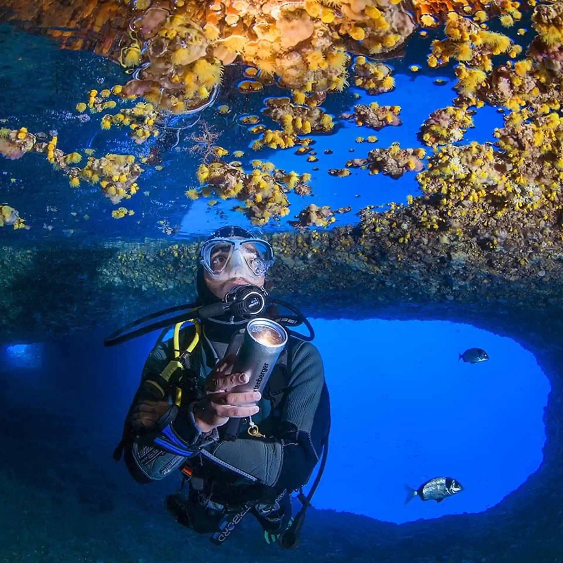 Dive site photo