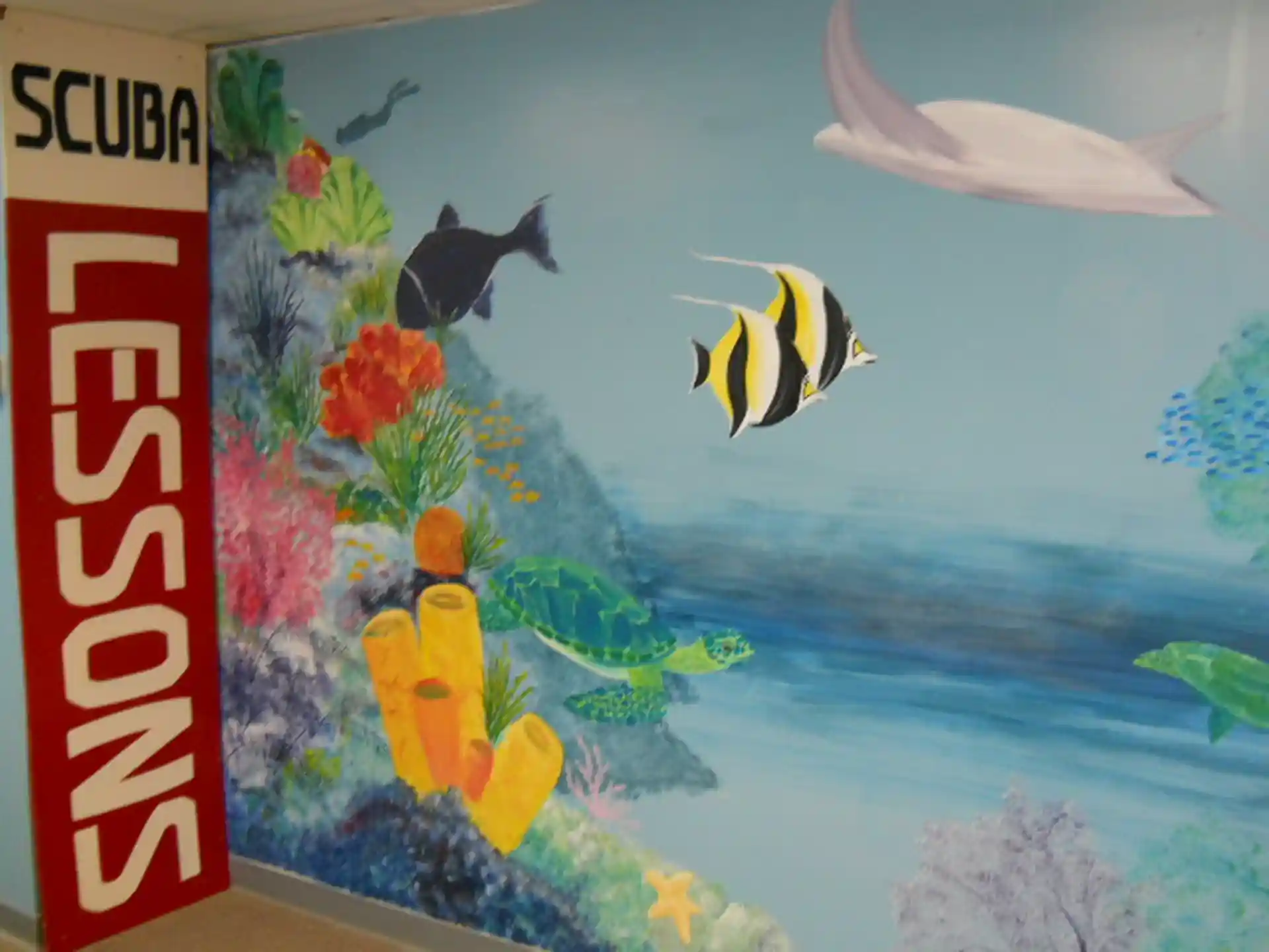 Dive shop photo