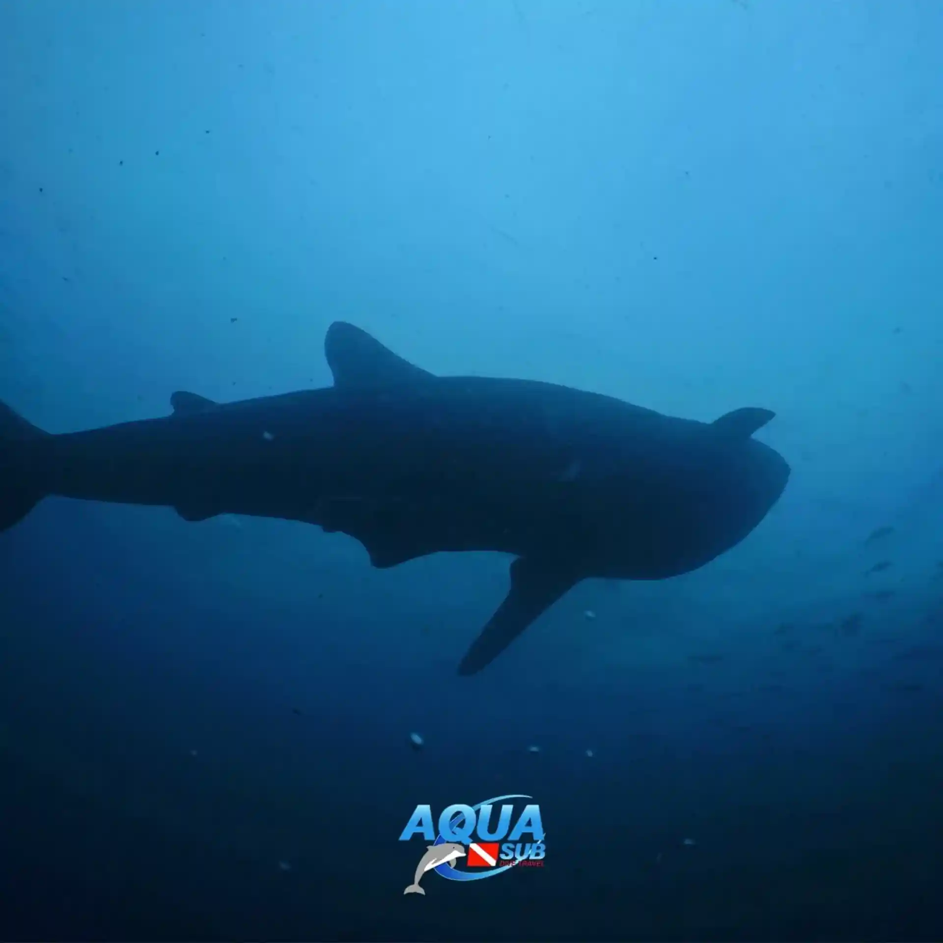 Foto de la actividad