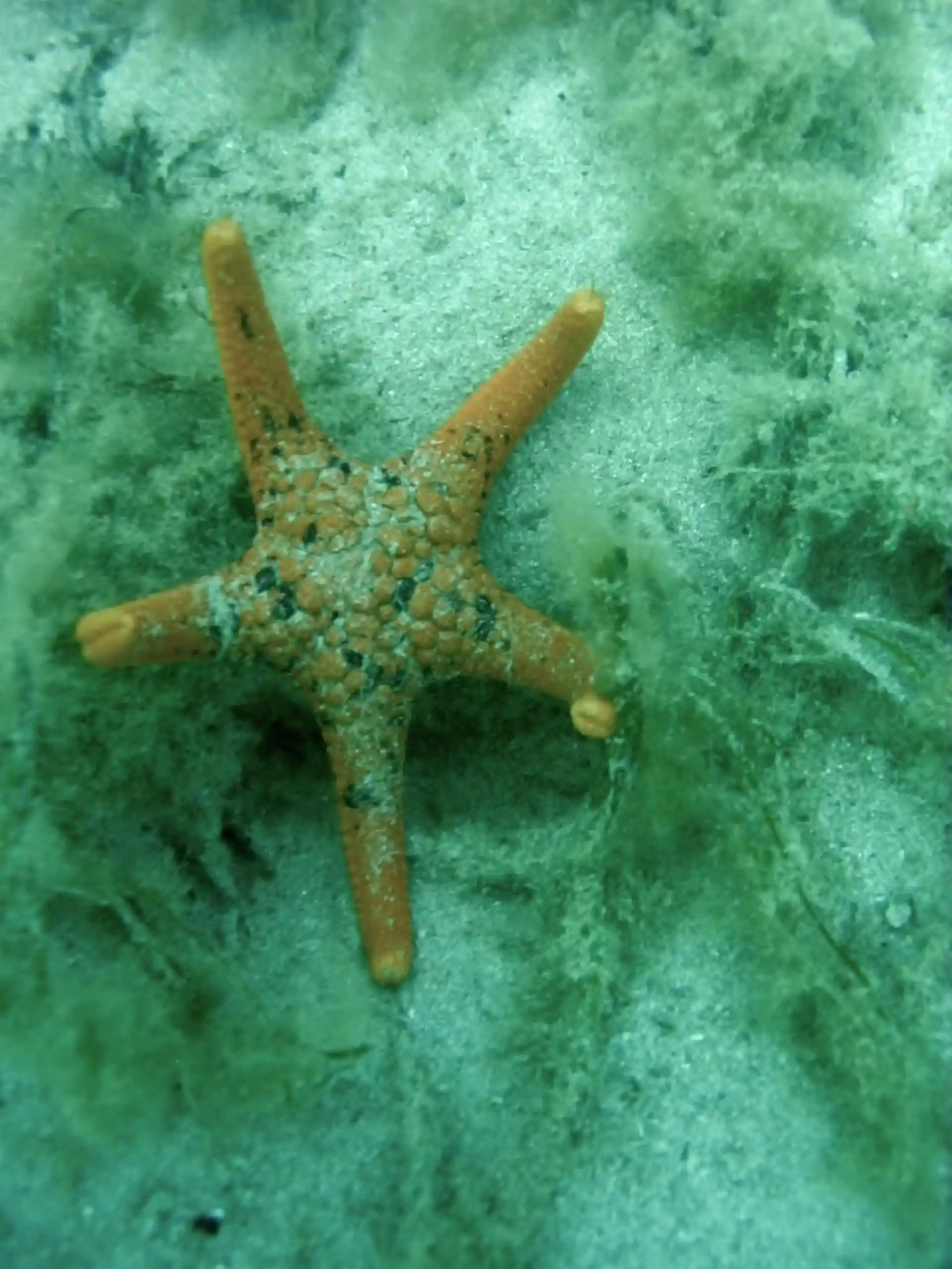 Dive site photo