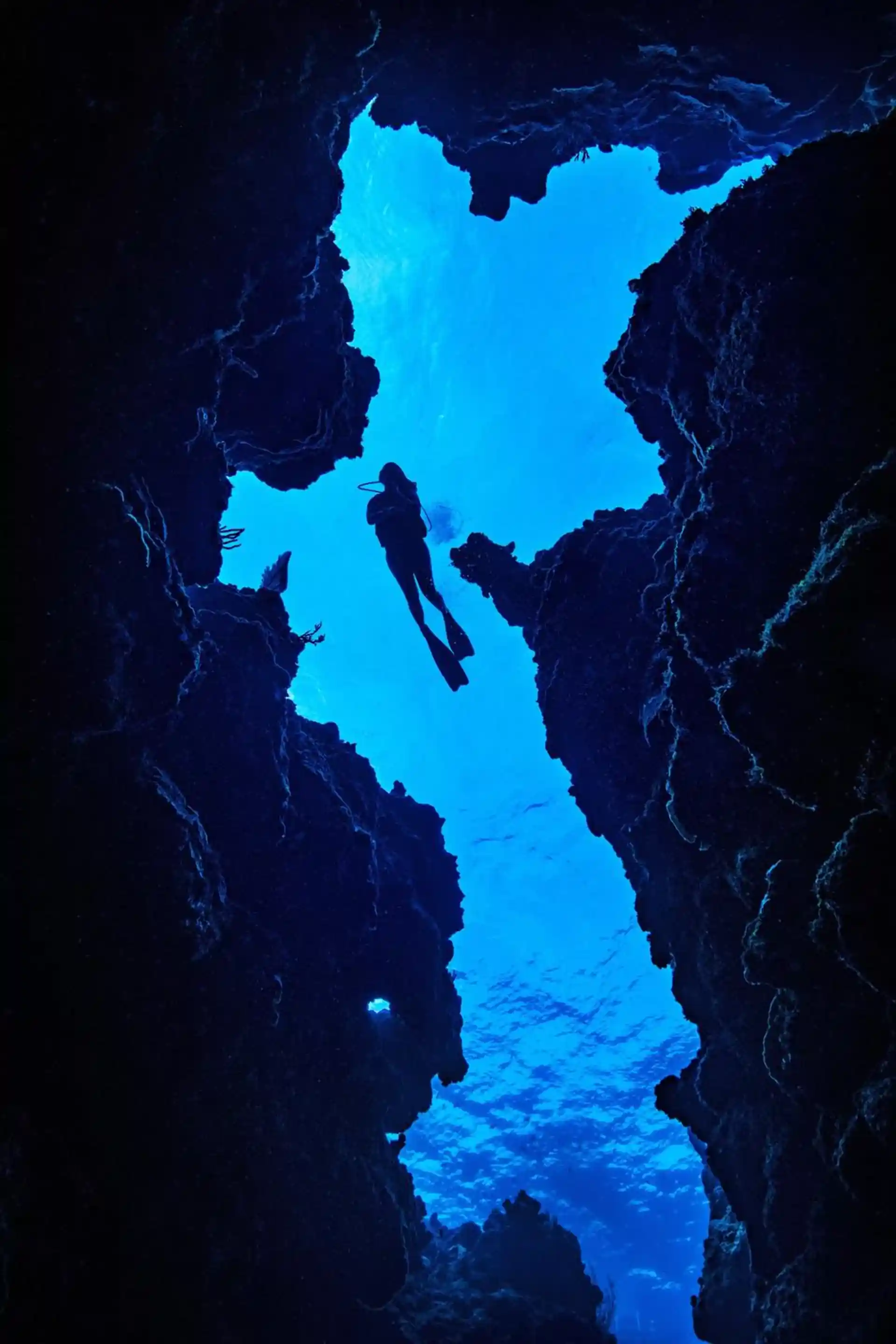 Dive site photo