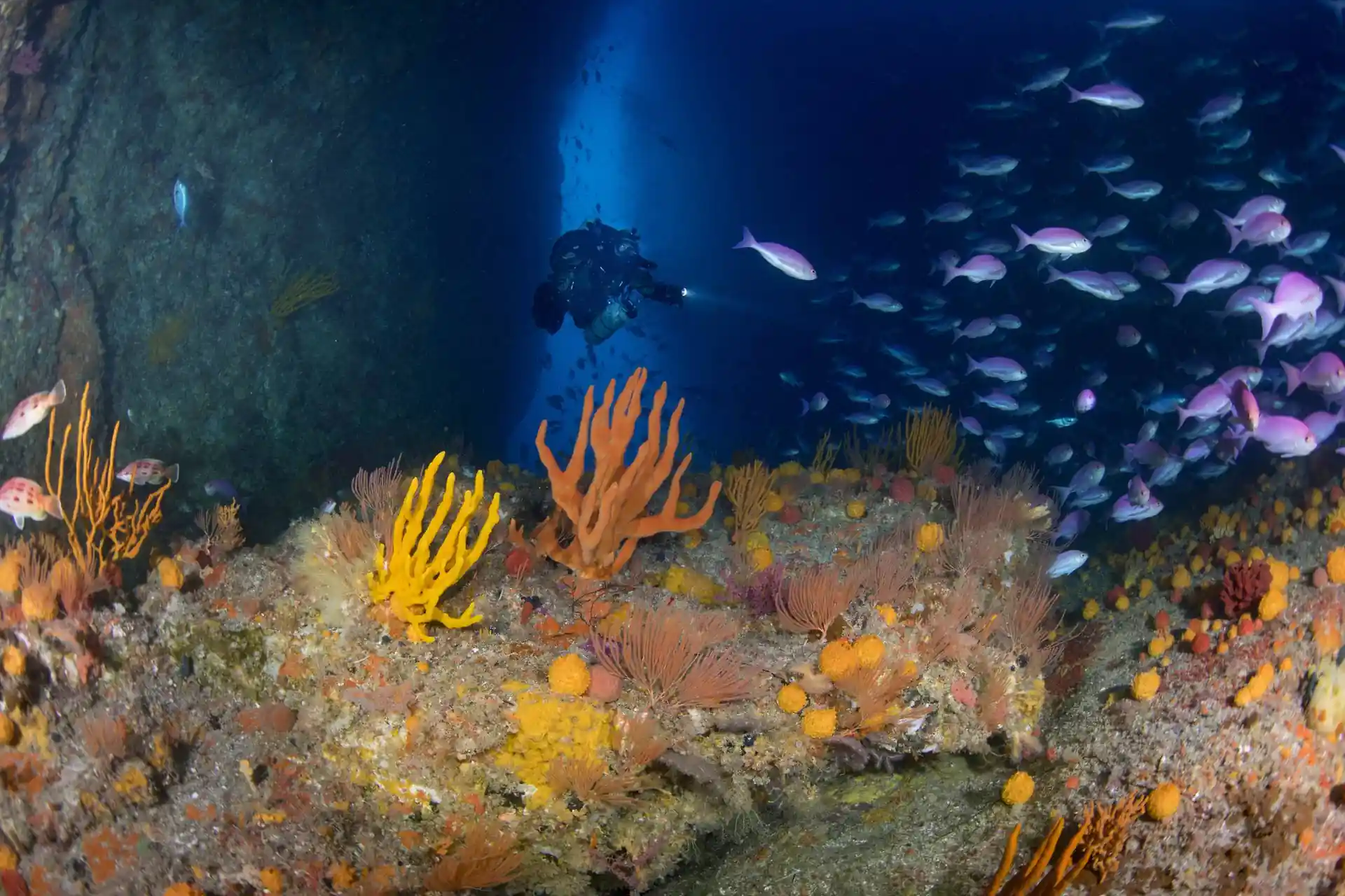 Dive site photo