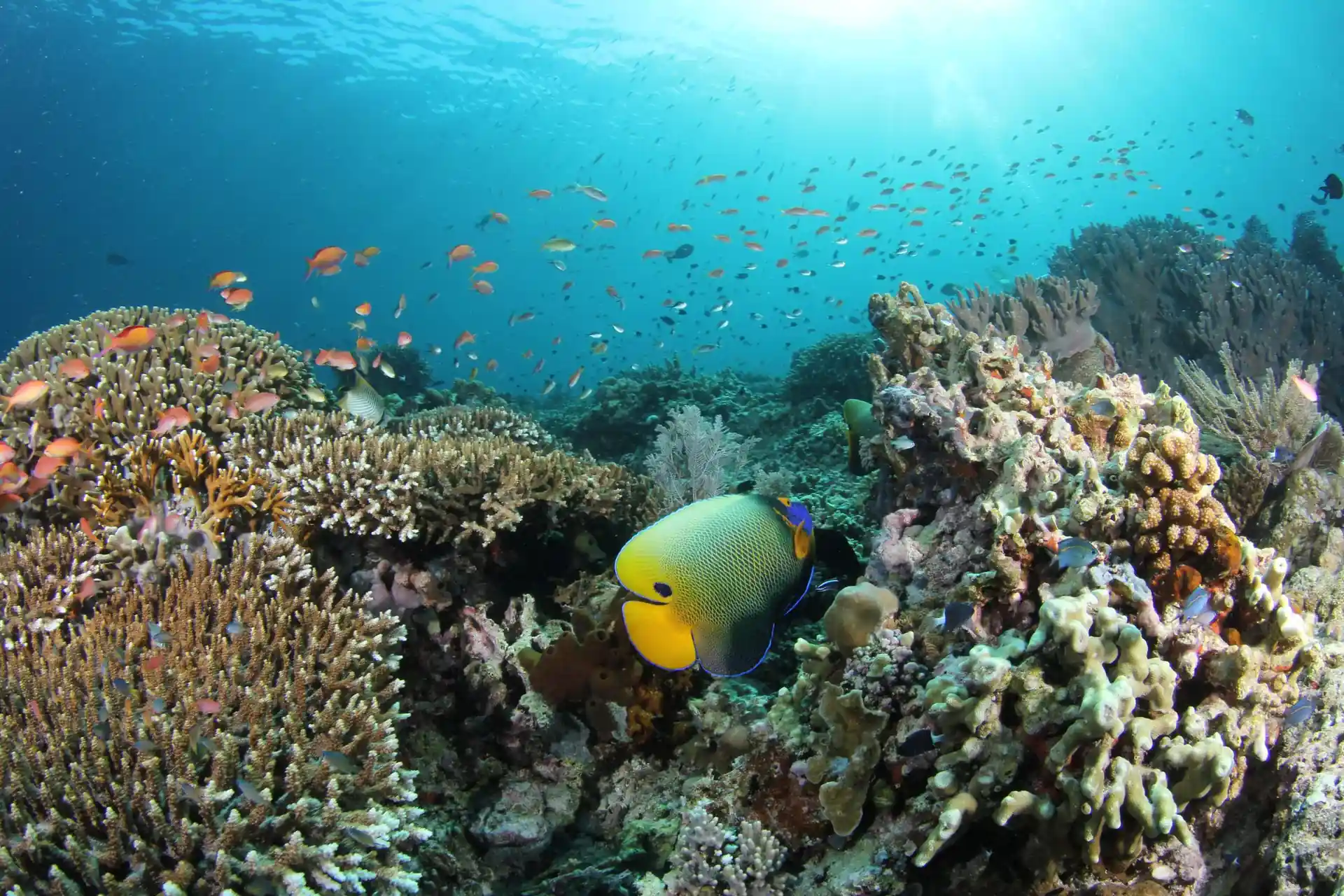 Dive site photo