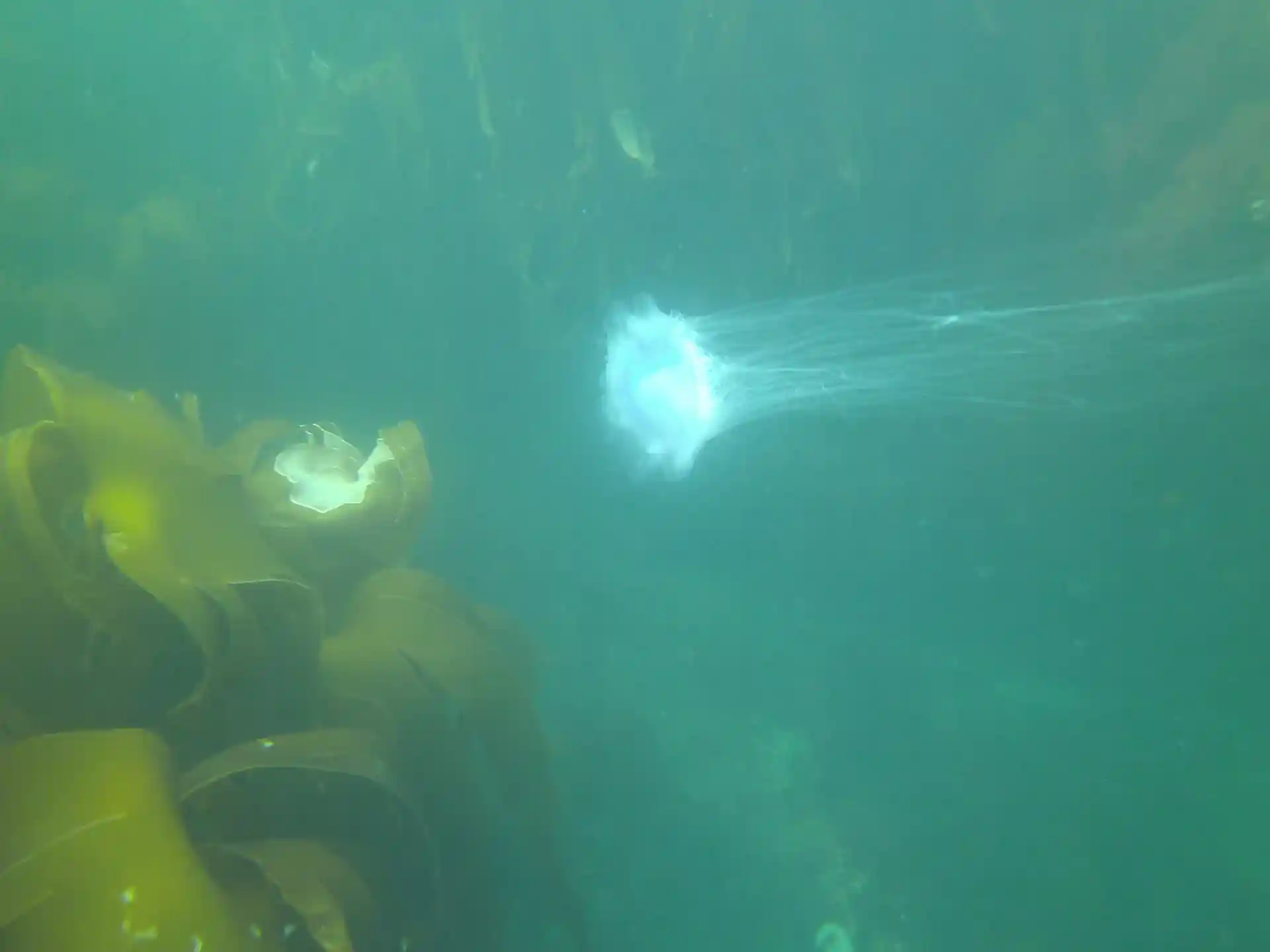 Dive site photo
