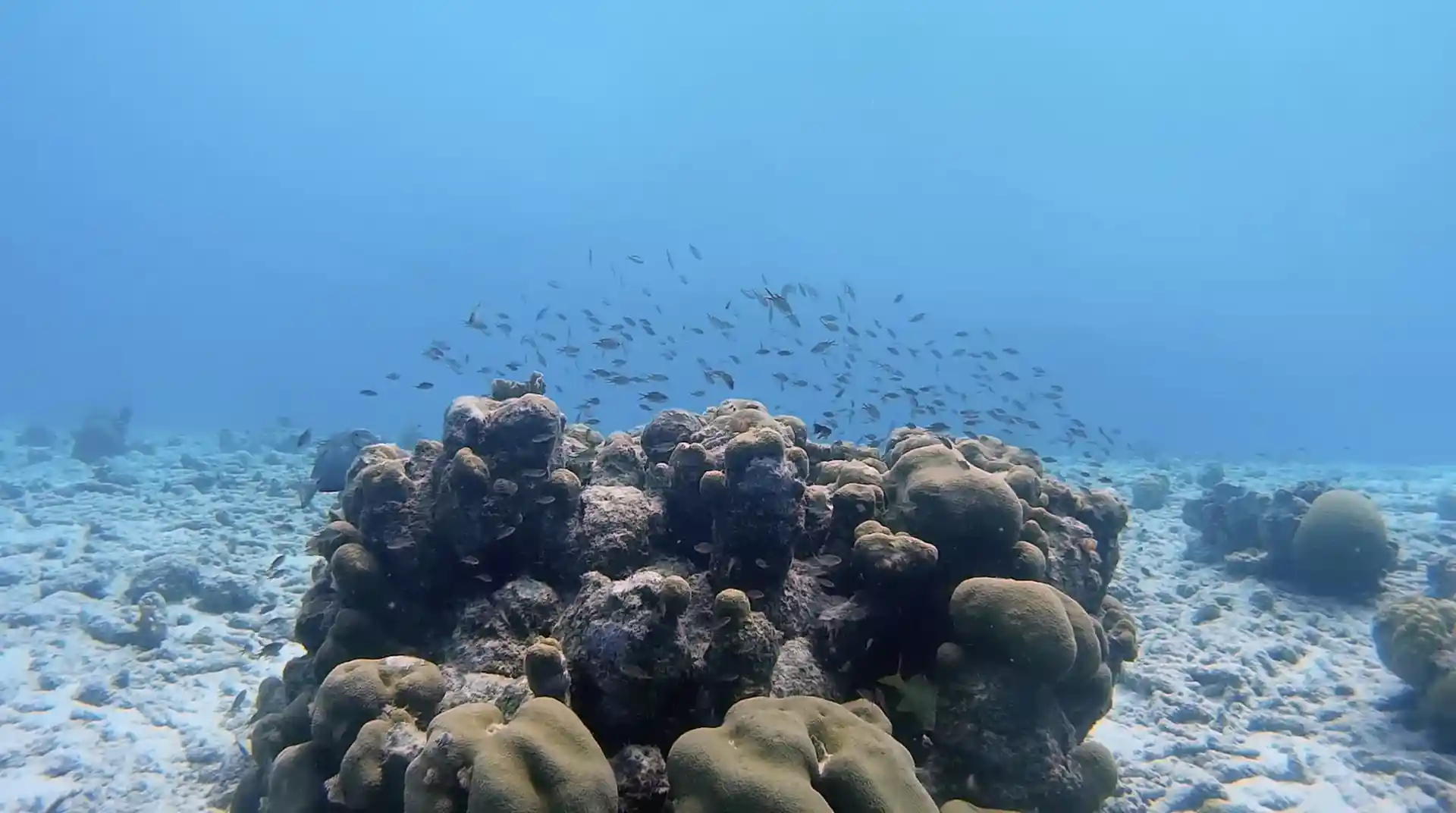 Dive site photo