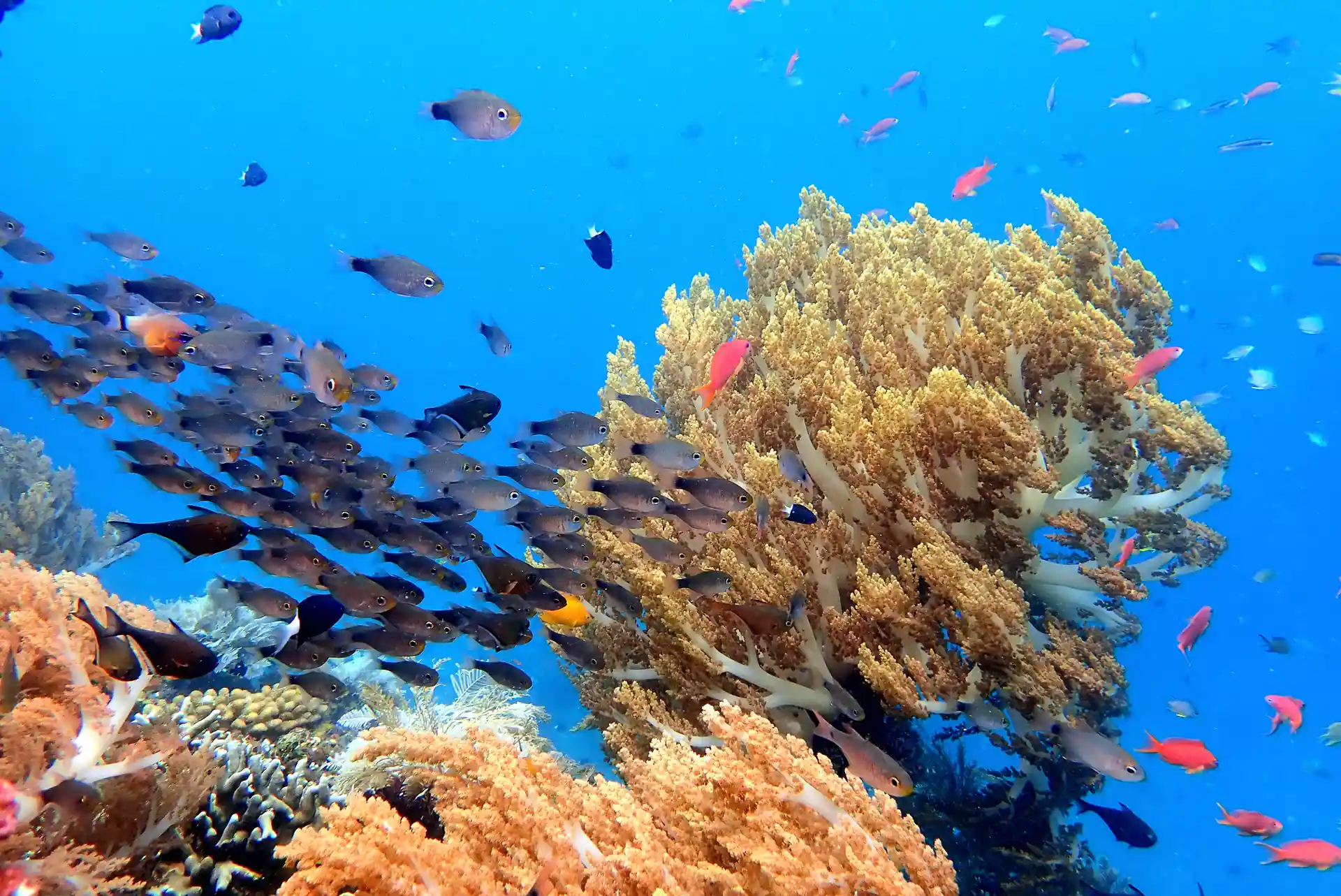 Foto de la actividad