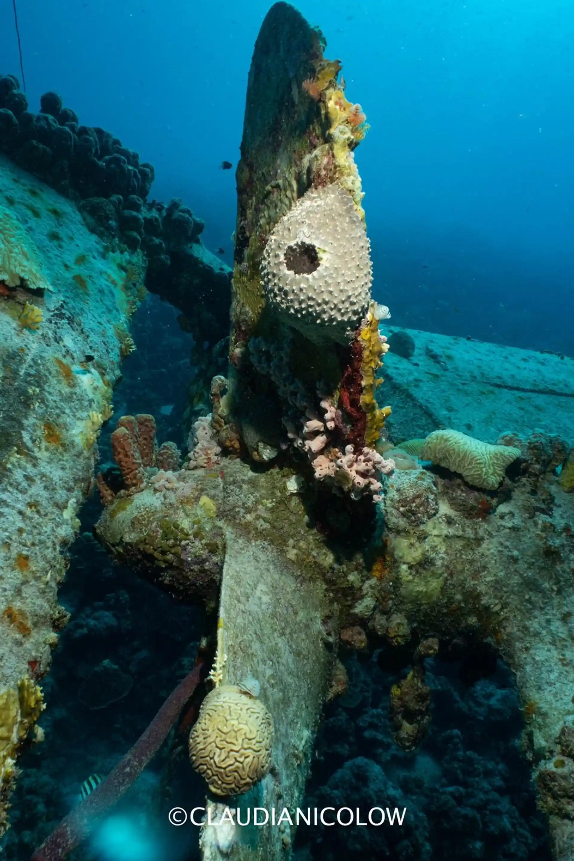 Foto de la actividad