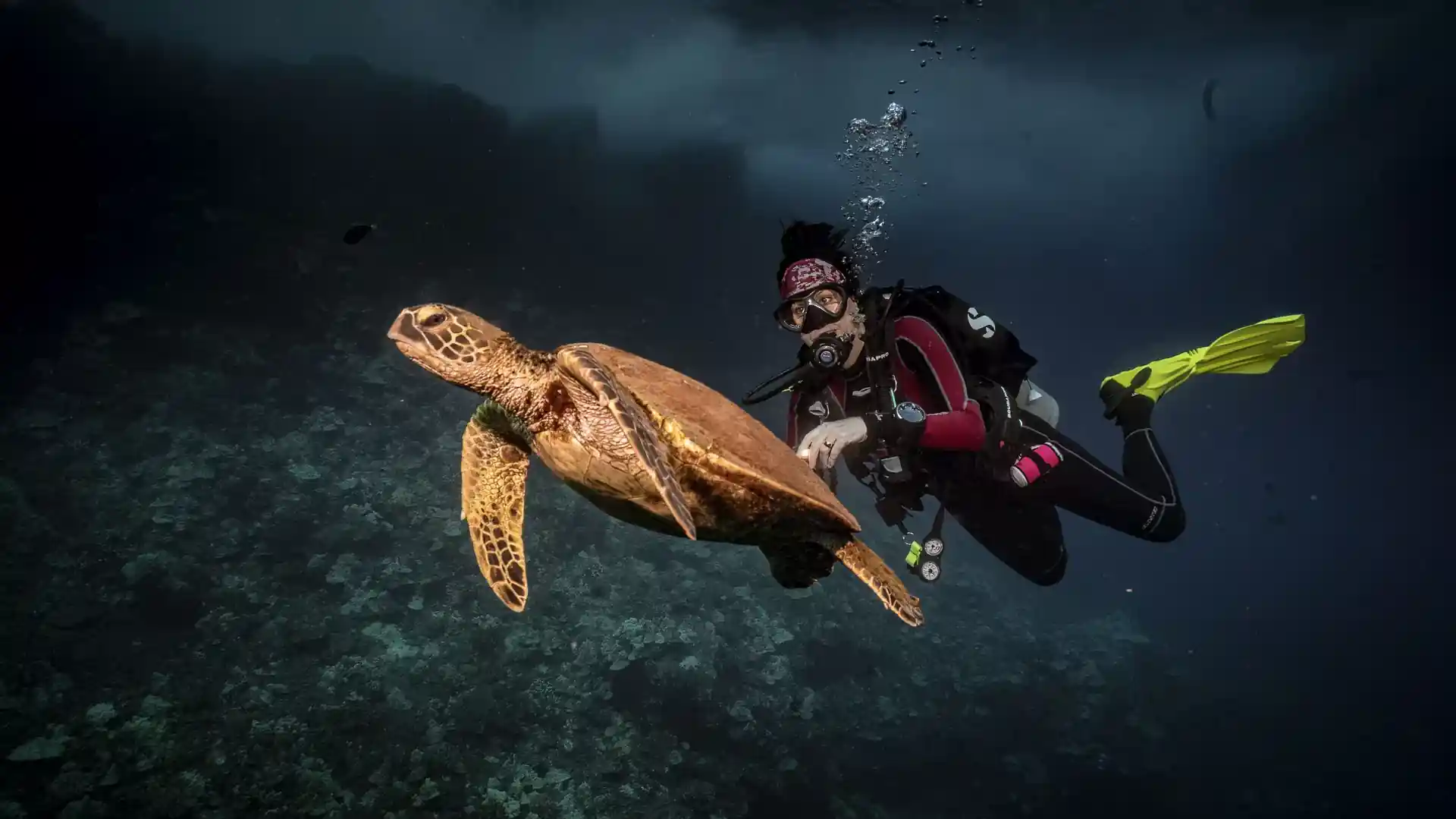 Foto van de duiklocatie