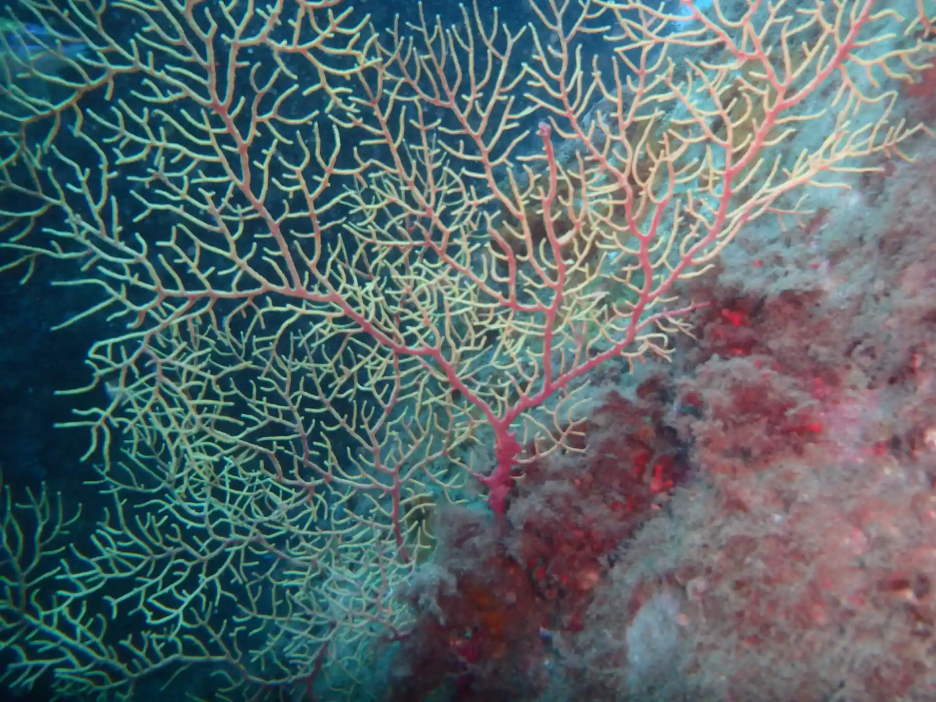 Foto de la actividad