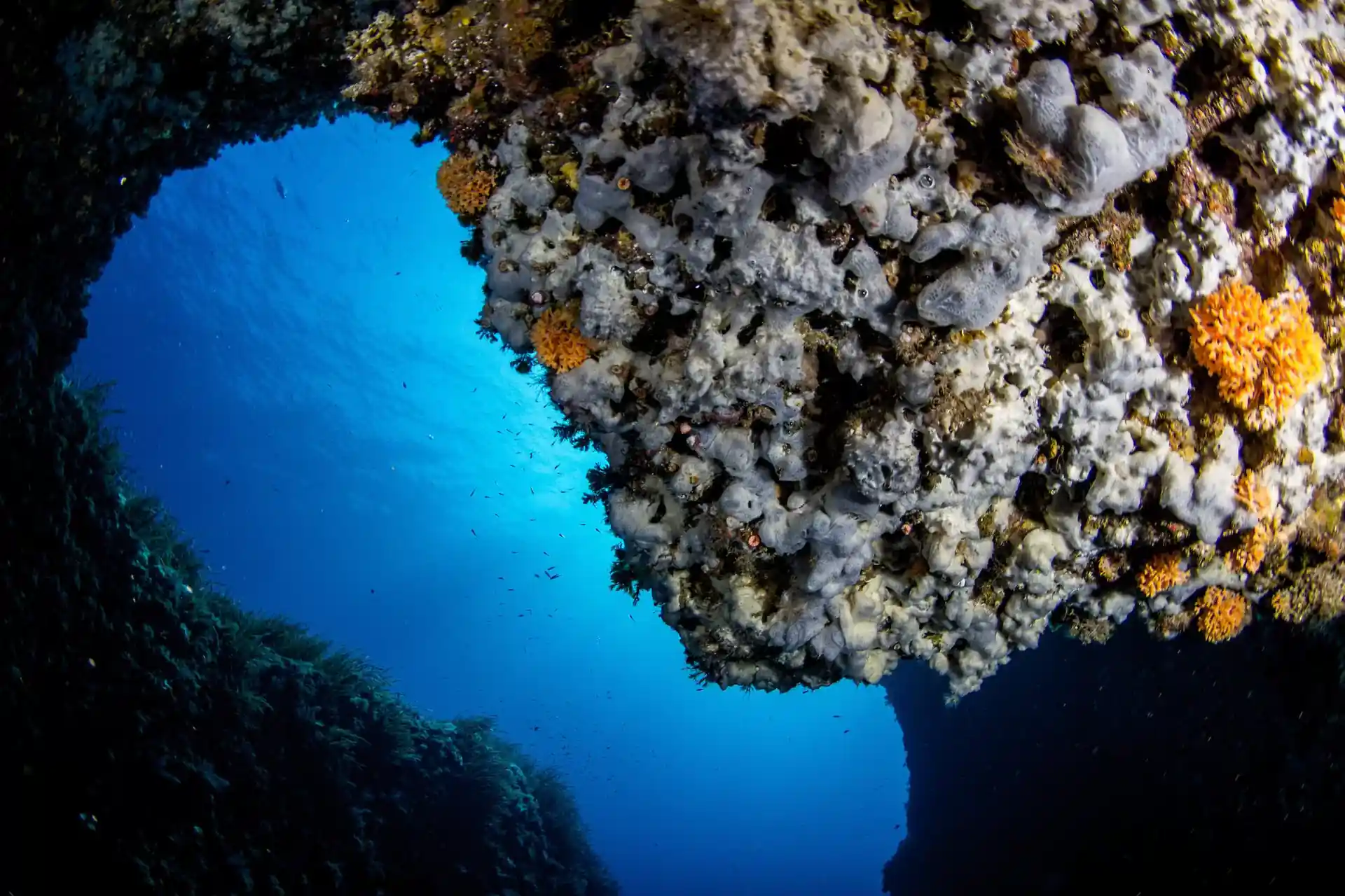 Dive site photo