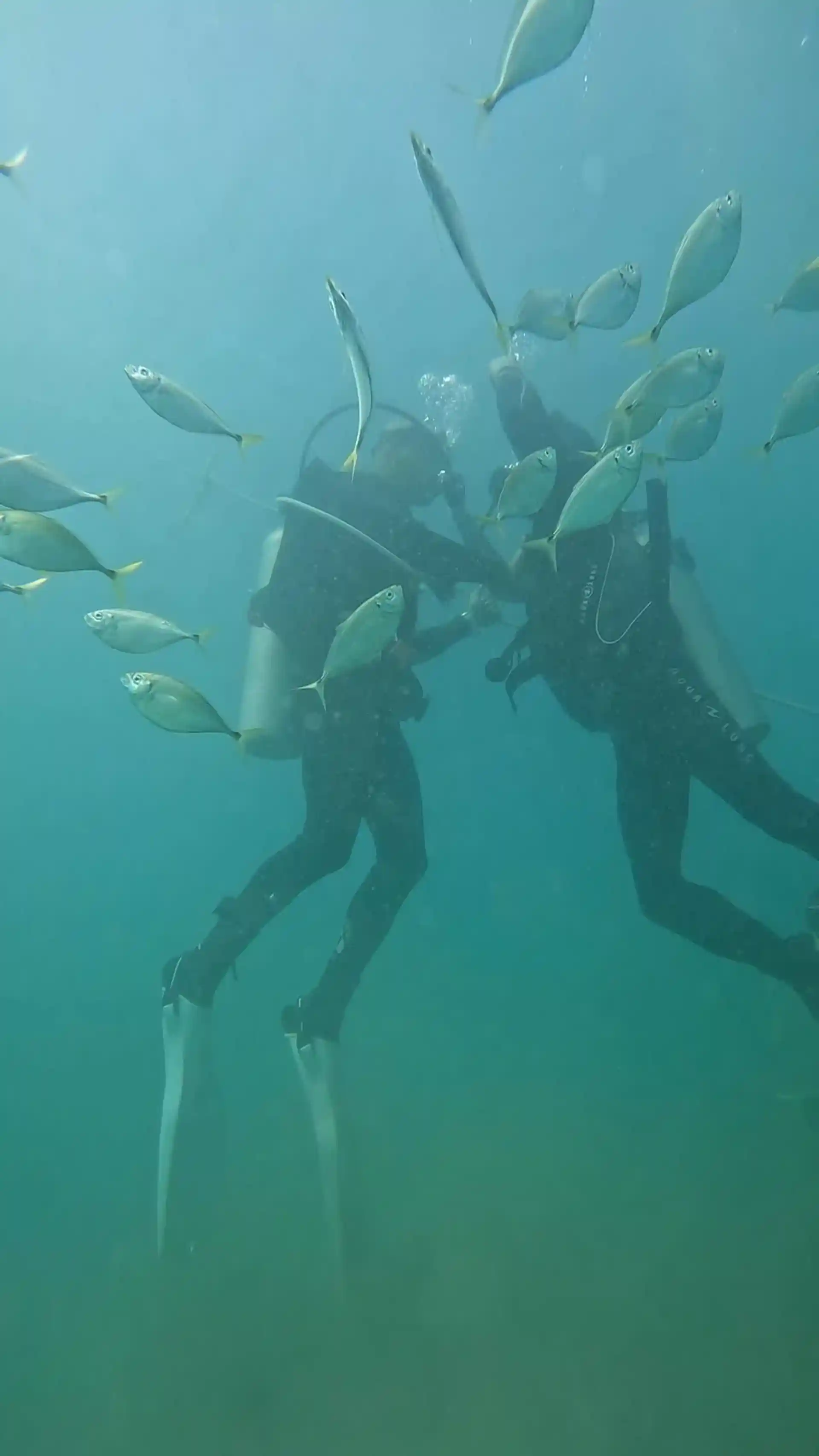 Dive site photo