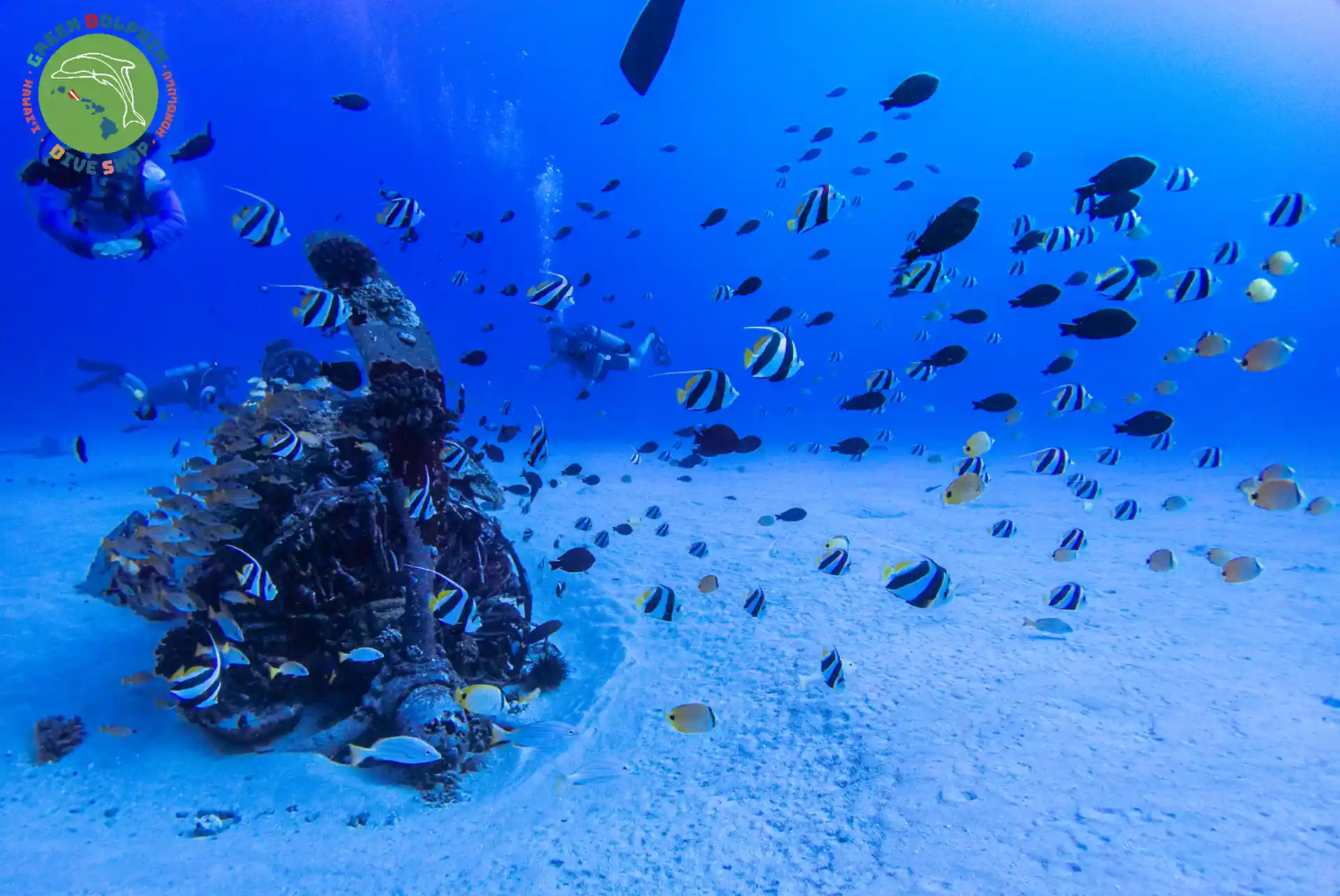 Dive shop photo