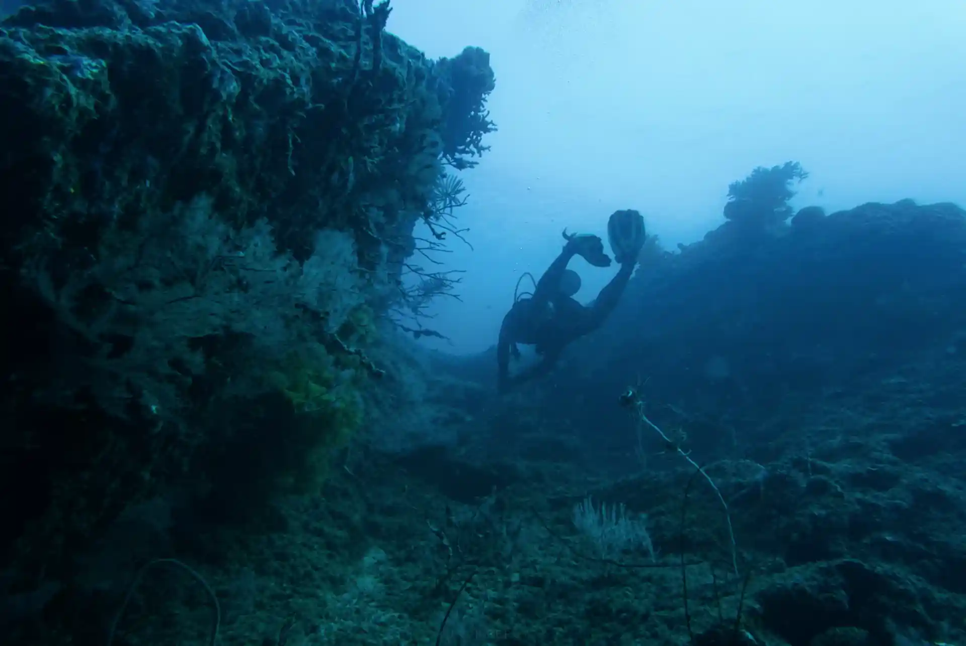 Dive site photo