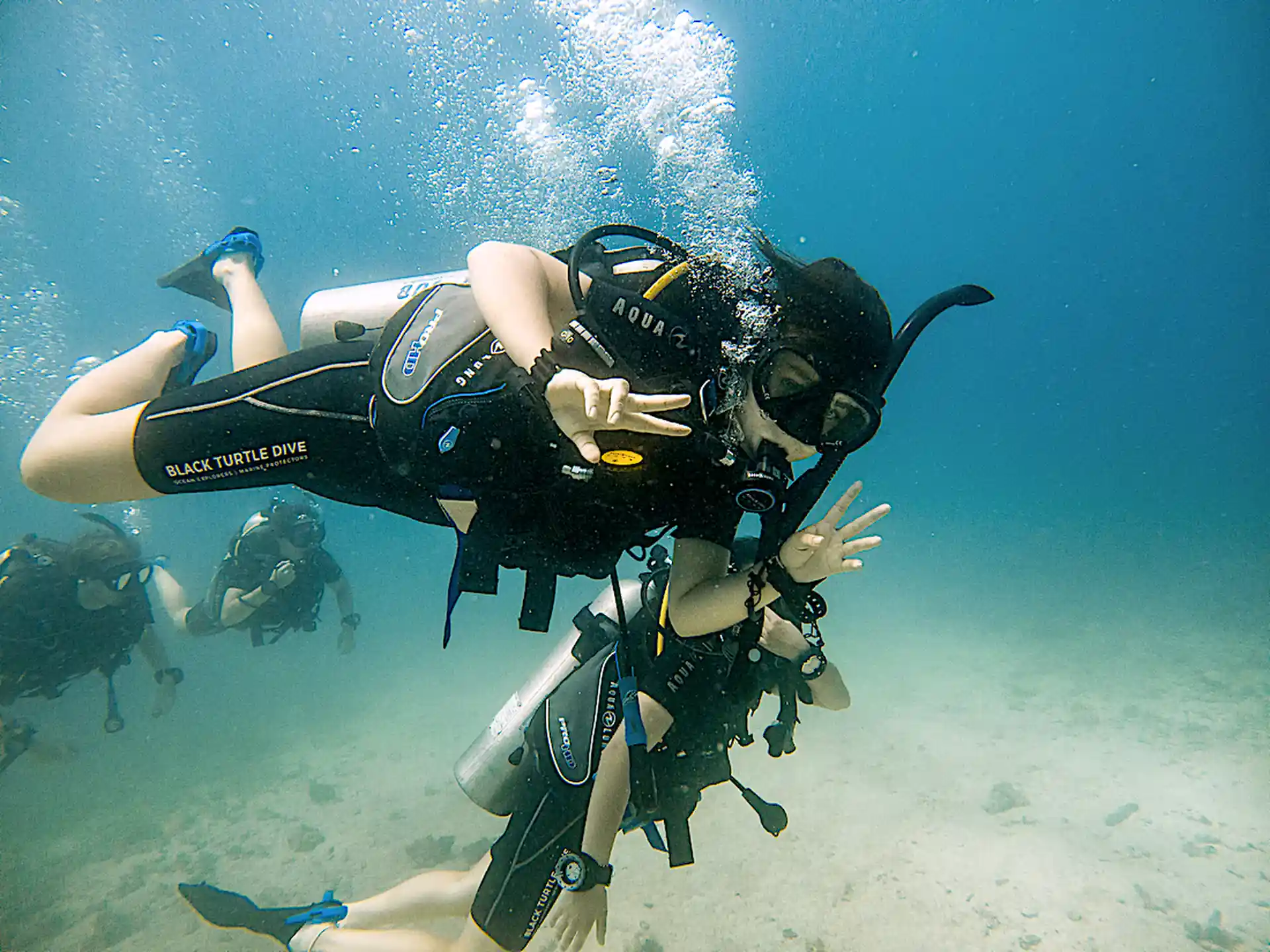 Photo de l'activité