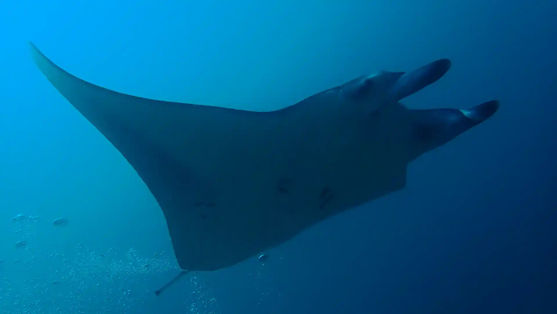 Dive shop photo
