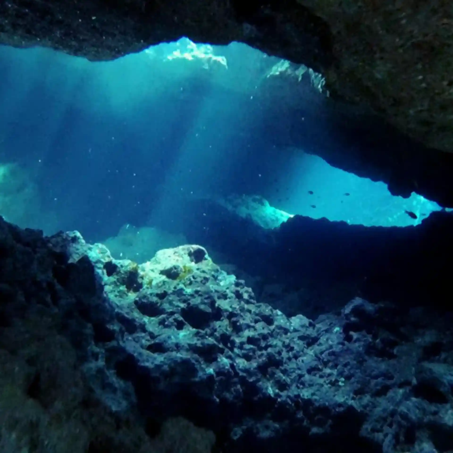 Dive site photo
