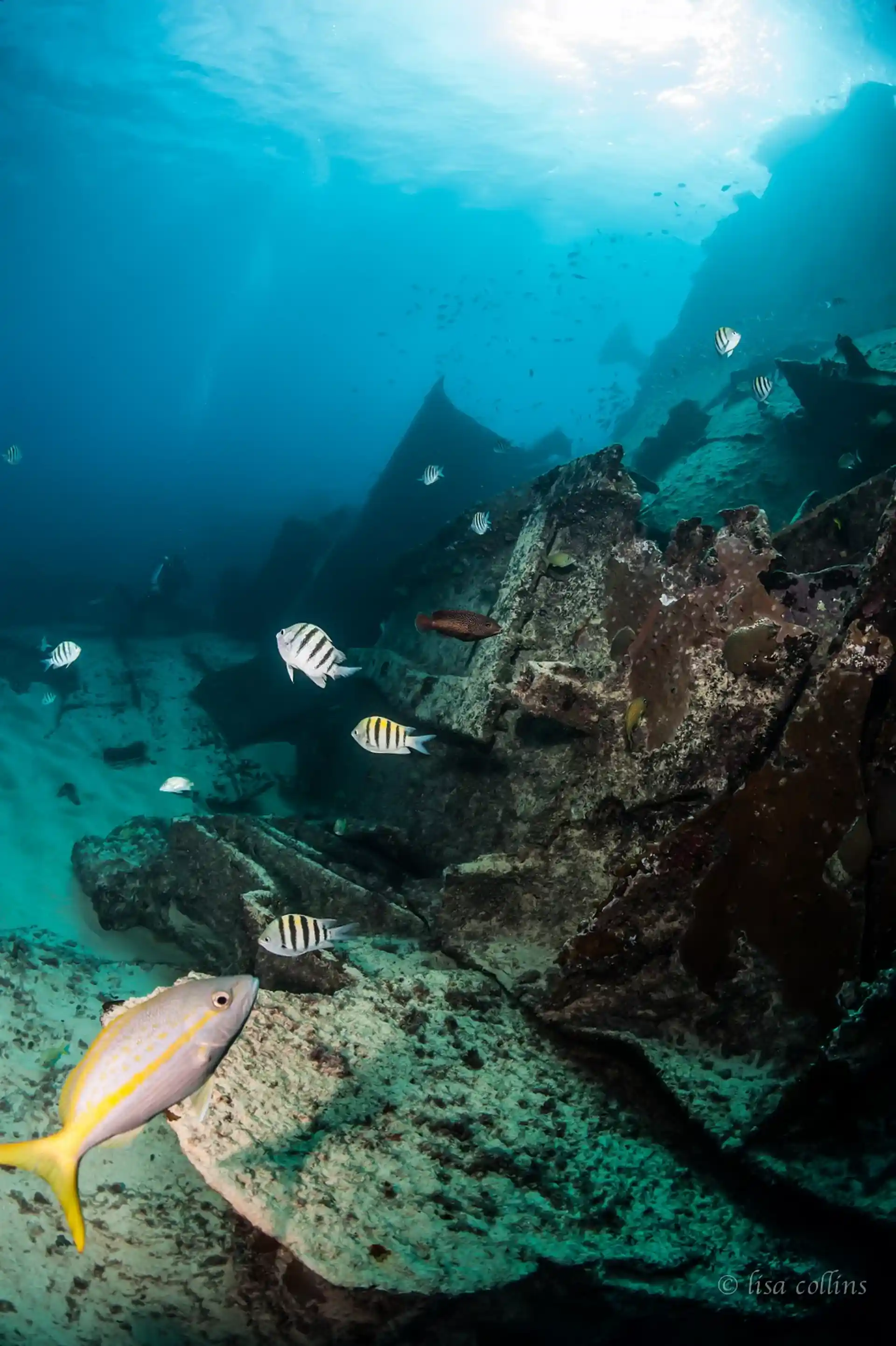 Photo de l'activité