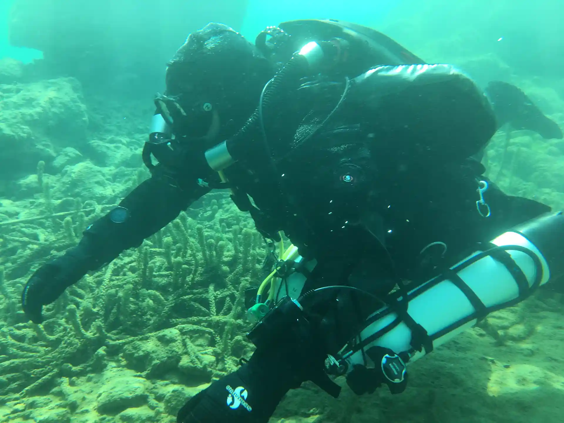 Dive shop photo