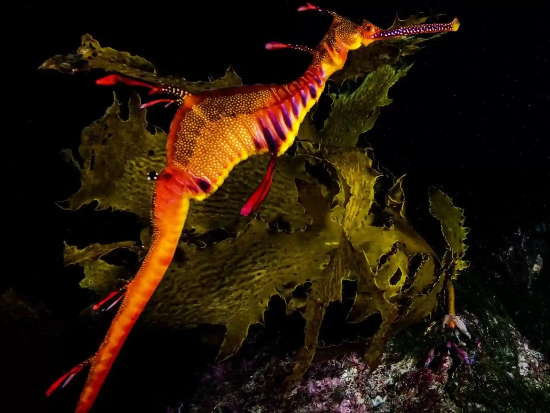 Dive site photo