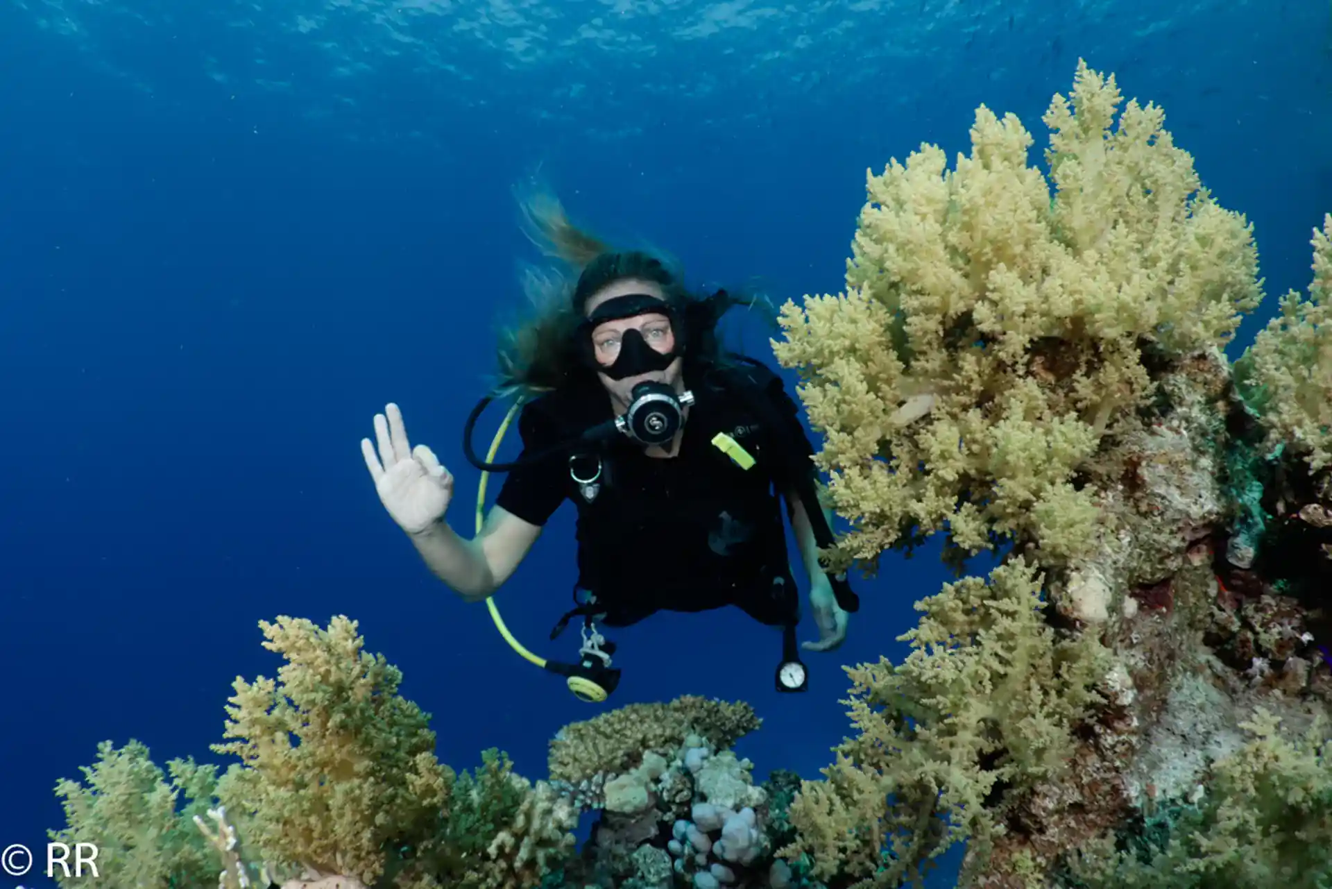 Ras Um Sid shore dive