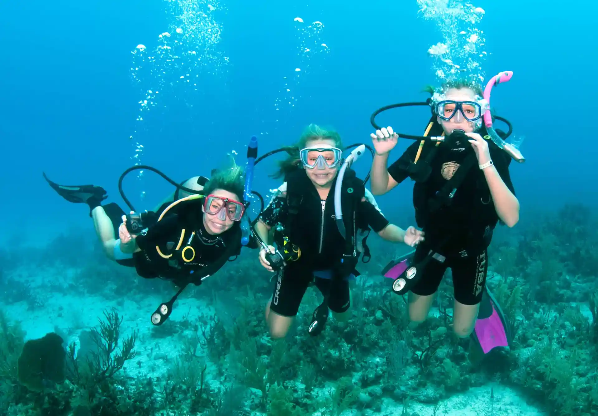 Enjoy diving with small groups and usually only our dive boat at the location