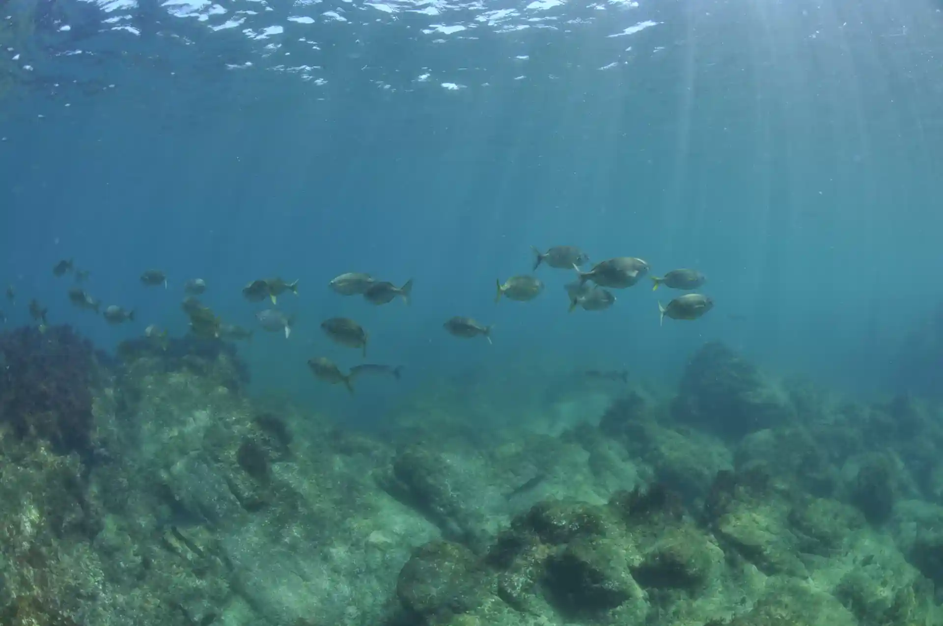 Dive site photo