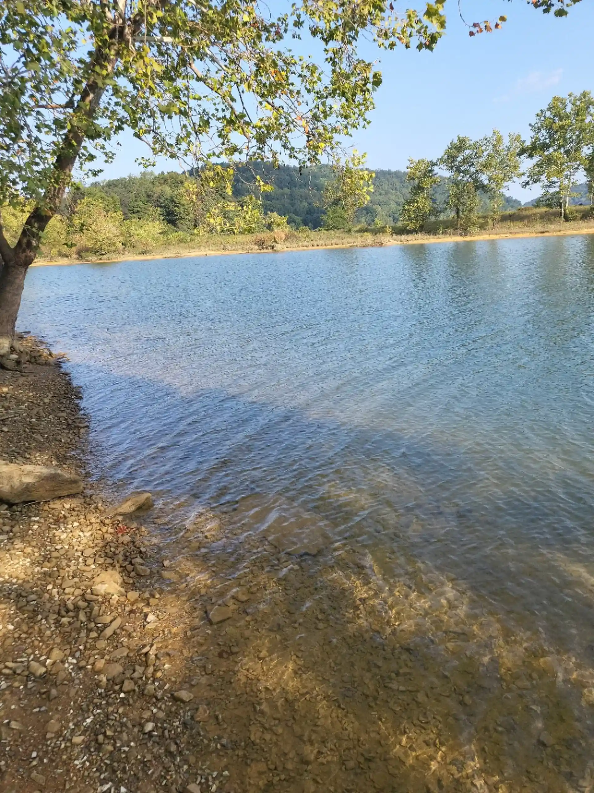Dive site photo
