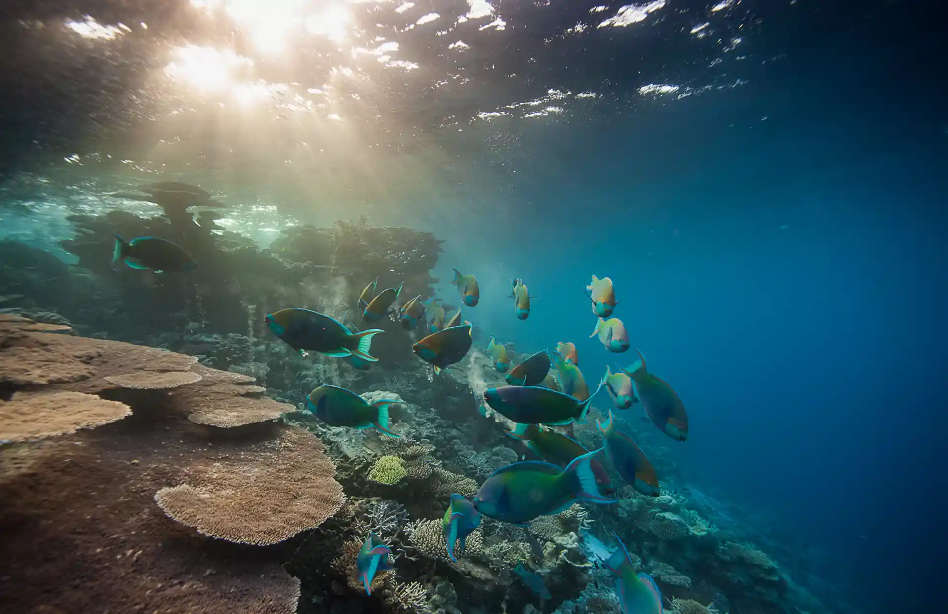 Dive shop photo