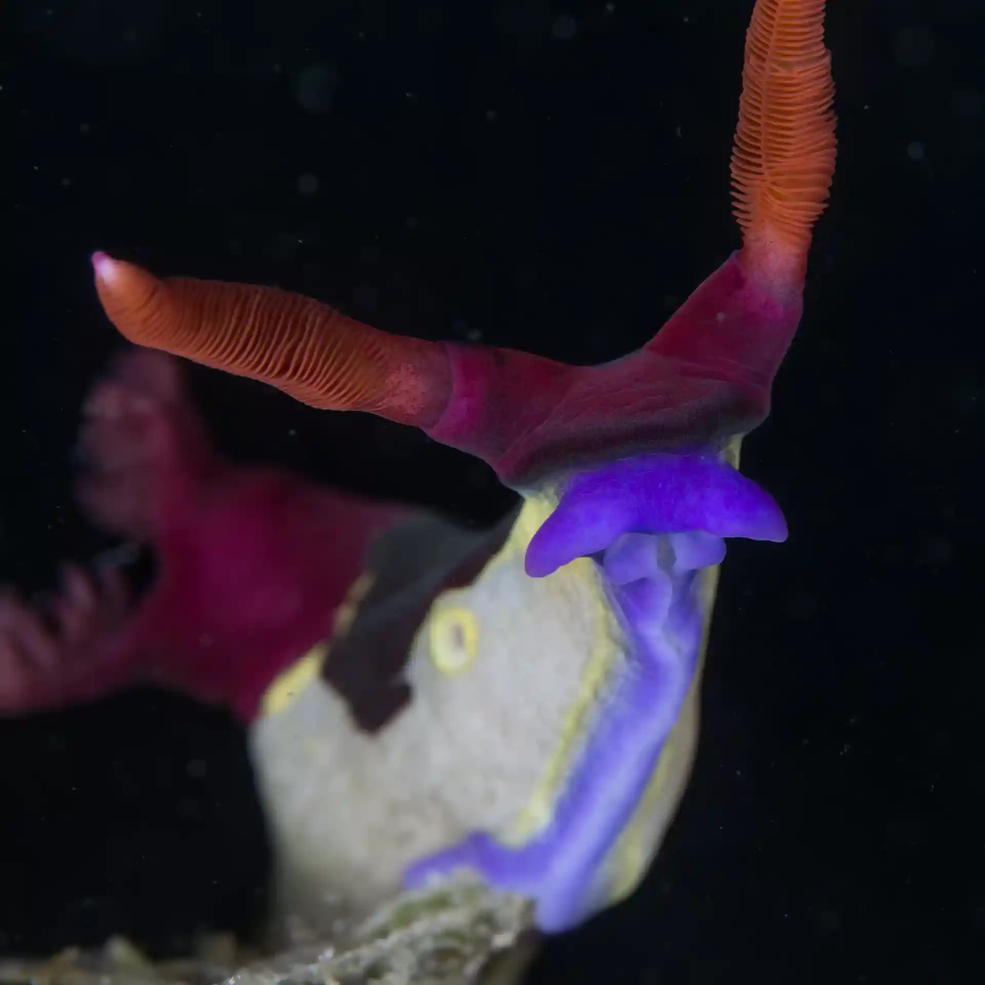 Dive site photo