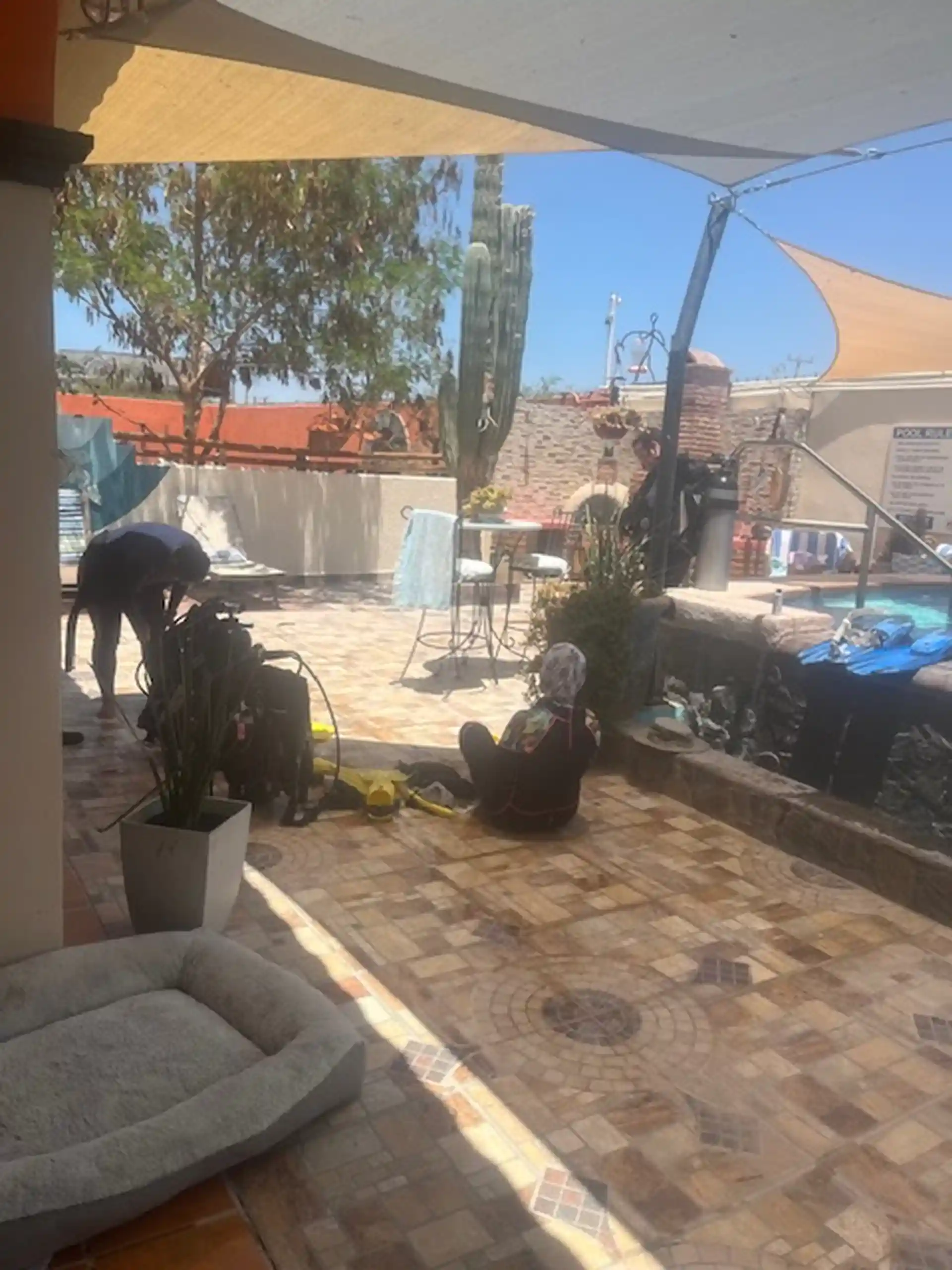 Learning how to gear up