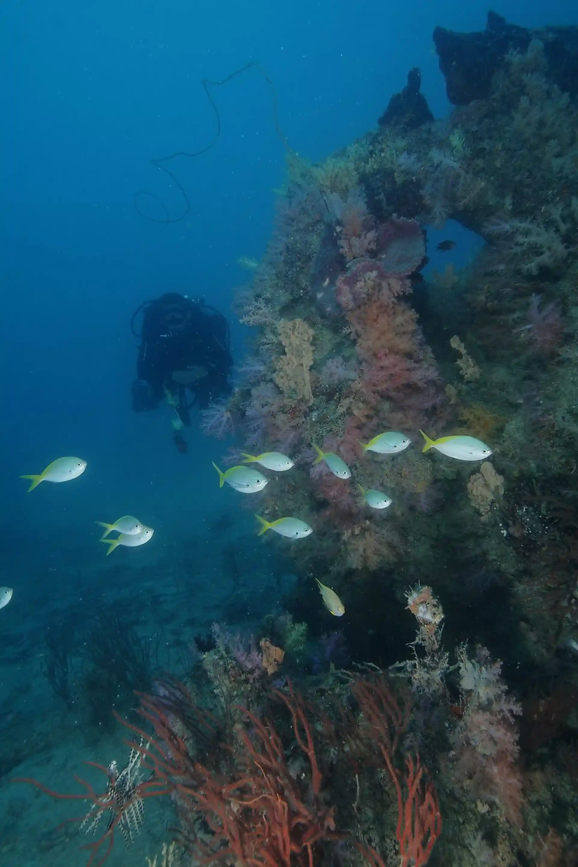 Foto des Tauchplatzes