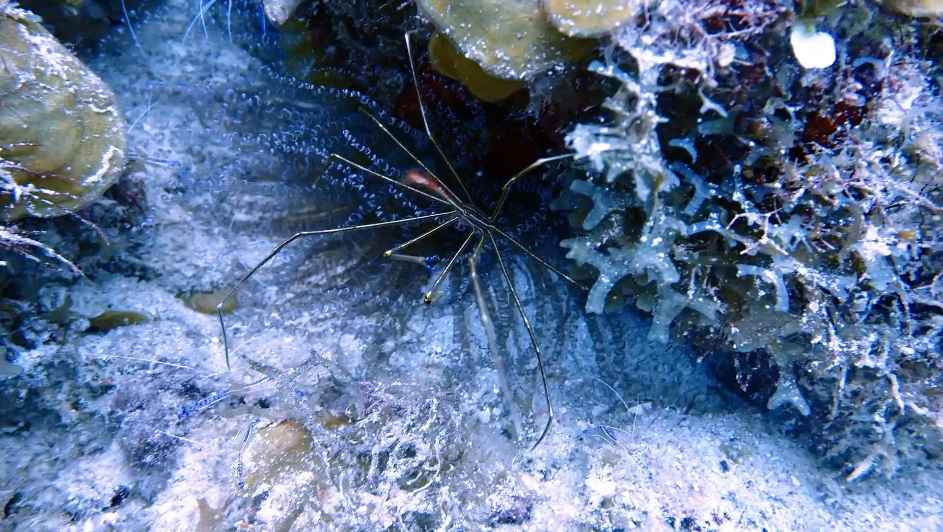 다이빙 포인트 사진