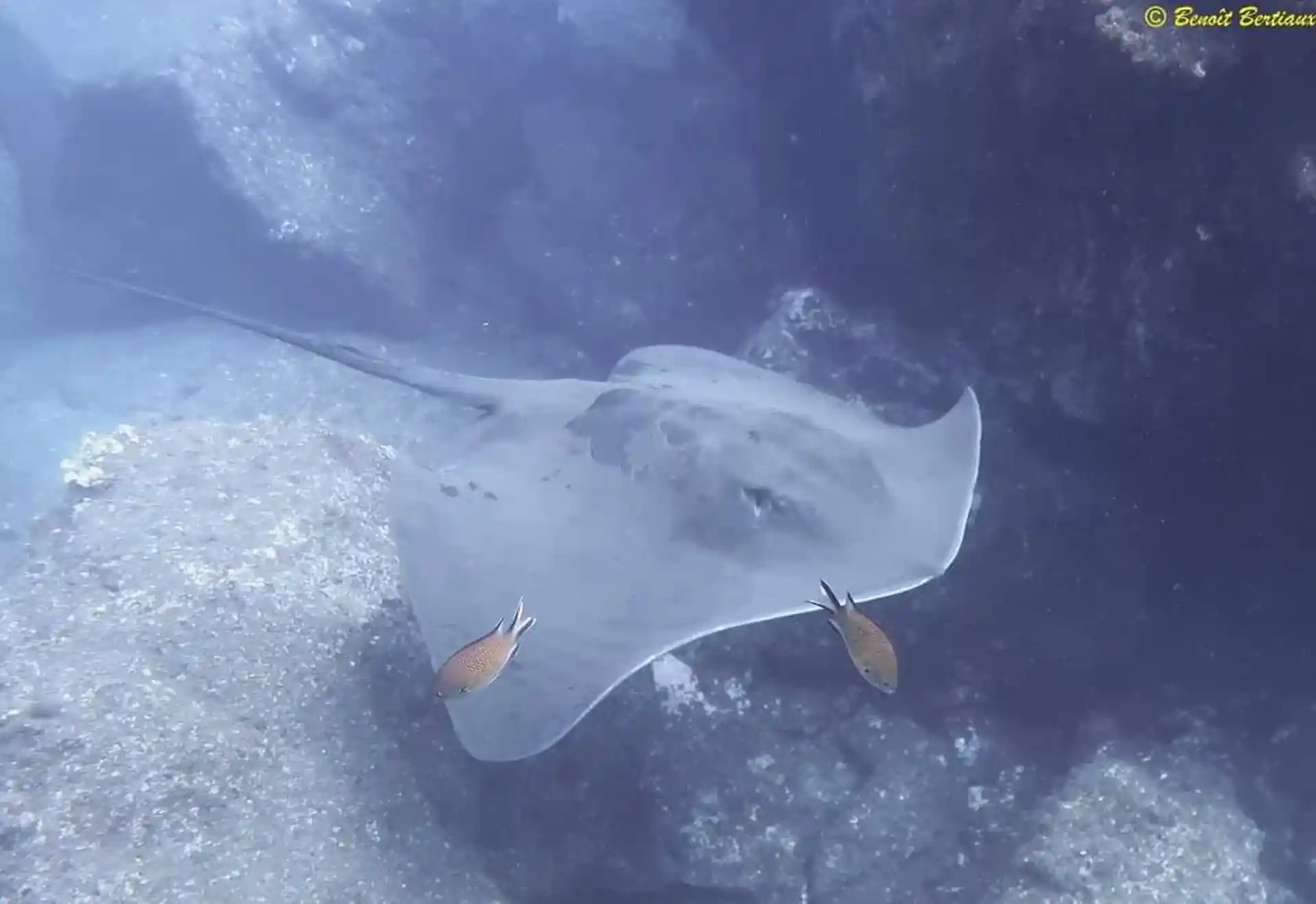 Dive site photo