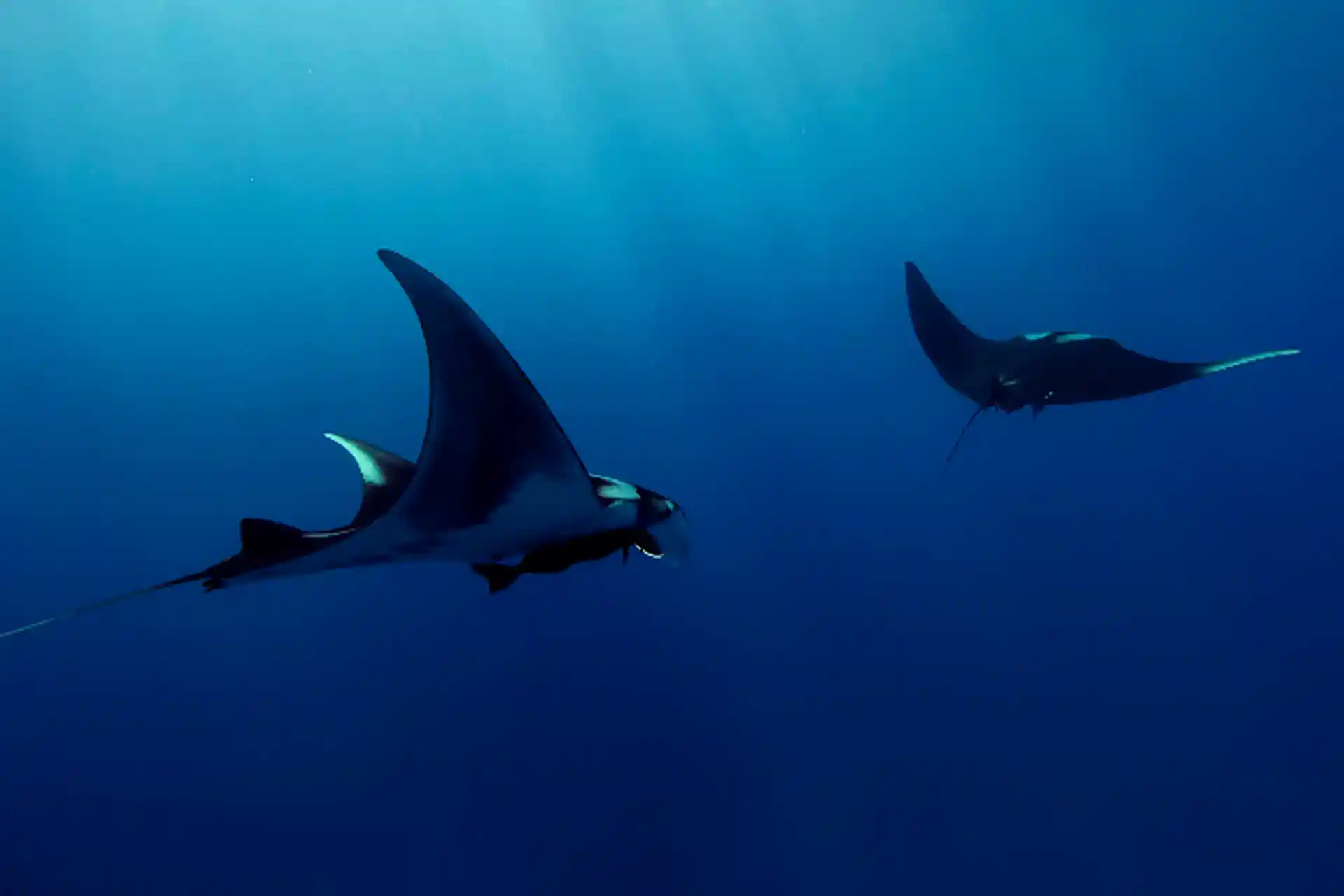 Dive shop photo