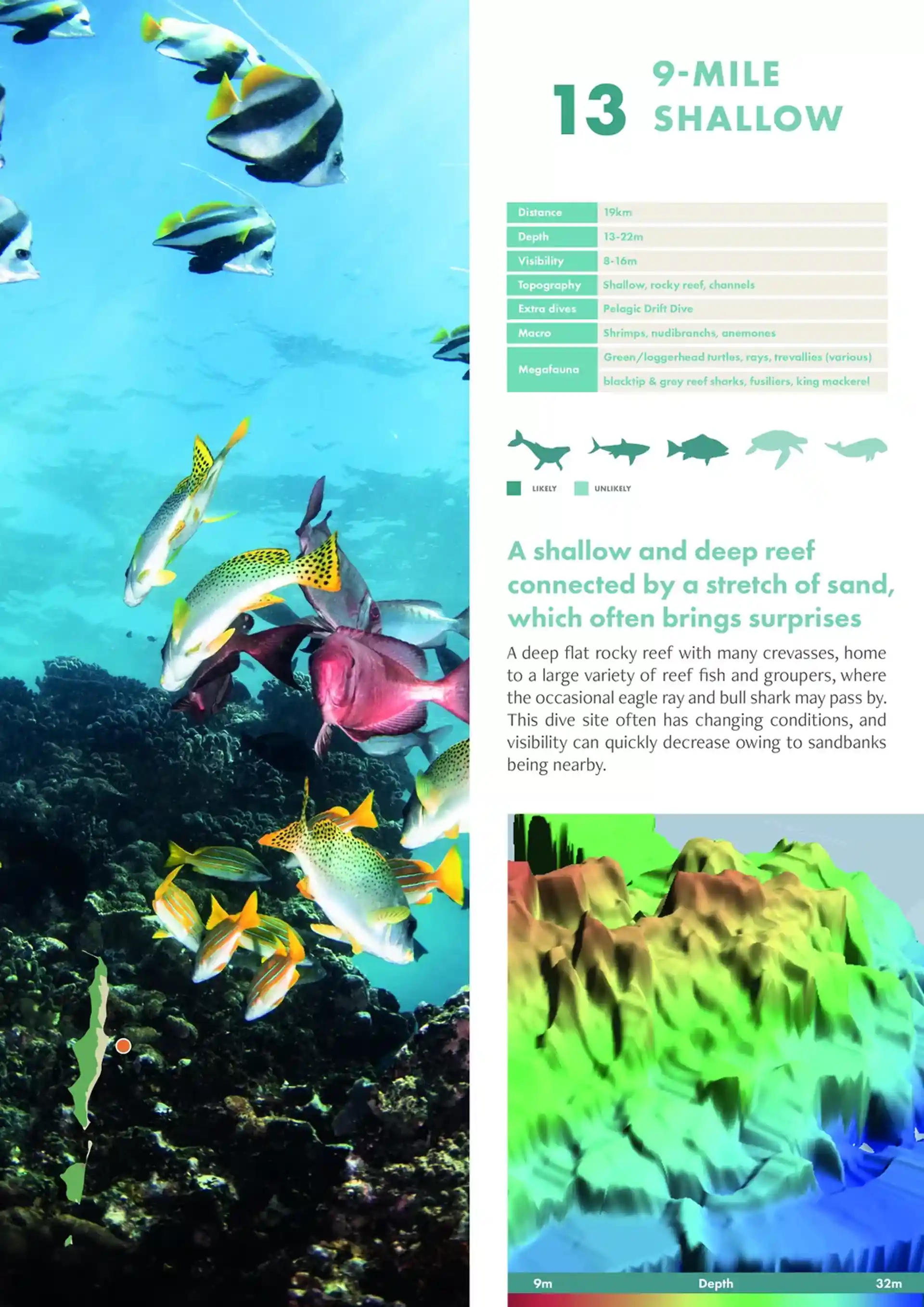 다이빙 포인트 사진