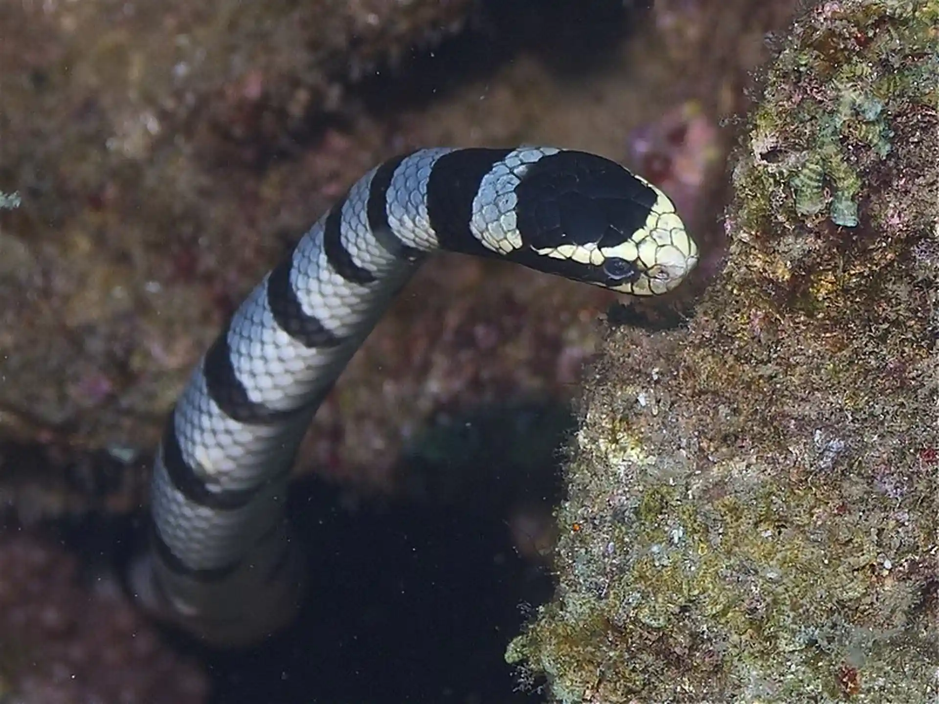 Dive site photo