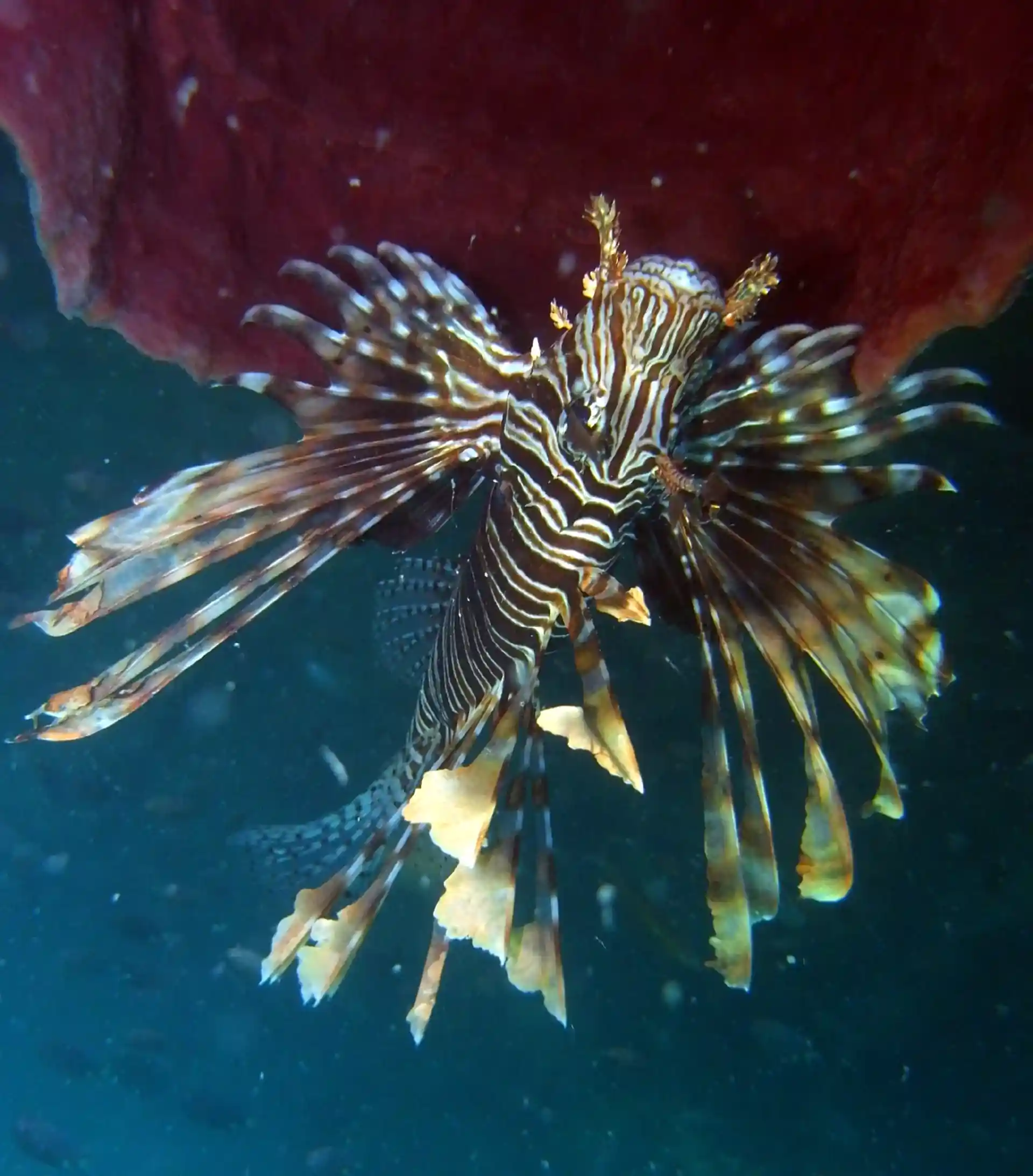 다이빙 포인트 사진