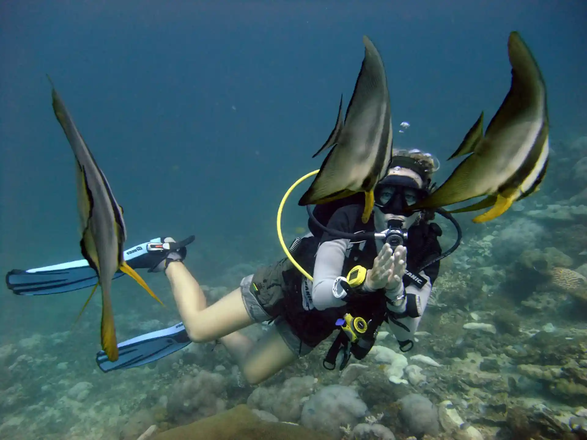 Once you are a certified diver you can dive to 18m anywhere in the world!