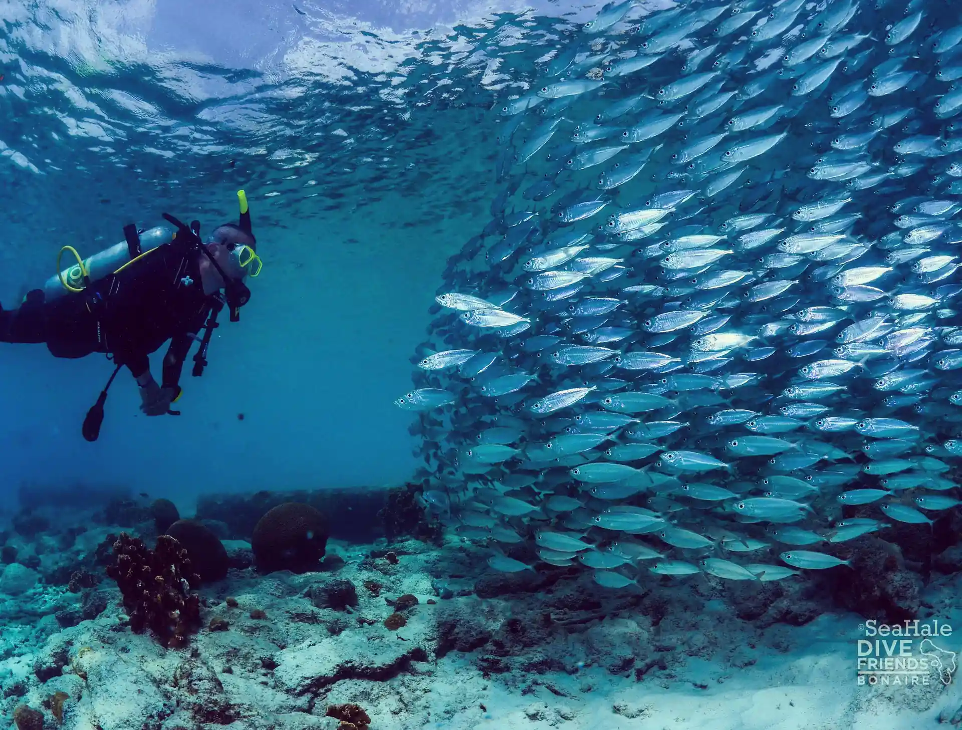 Photo de l'activité