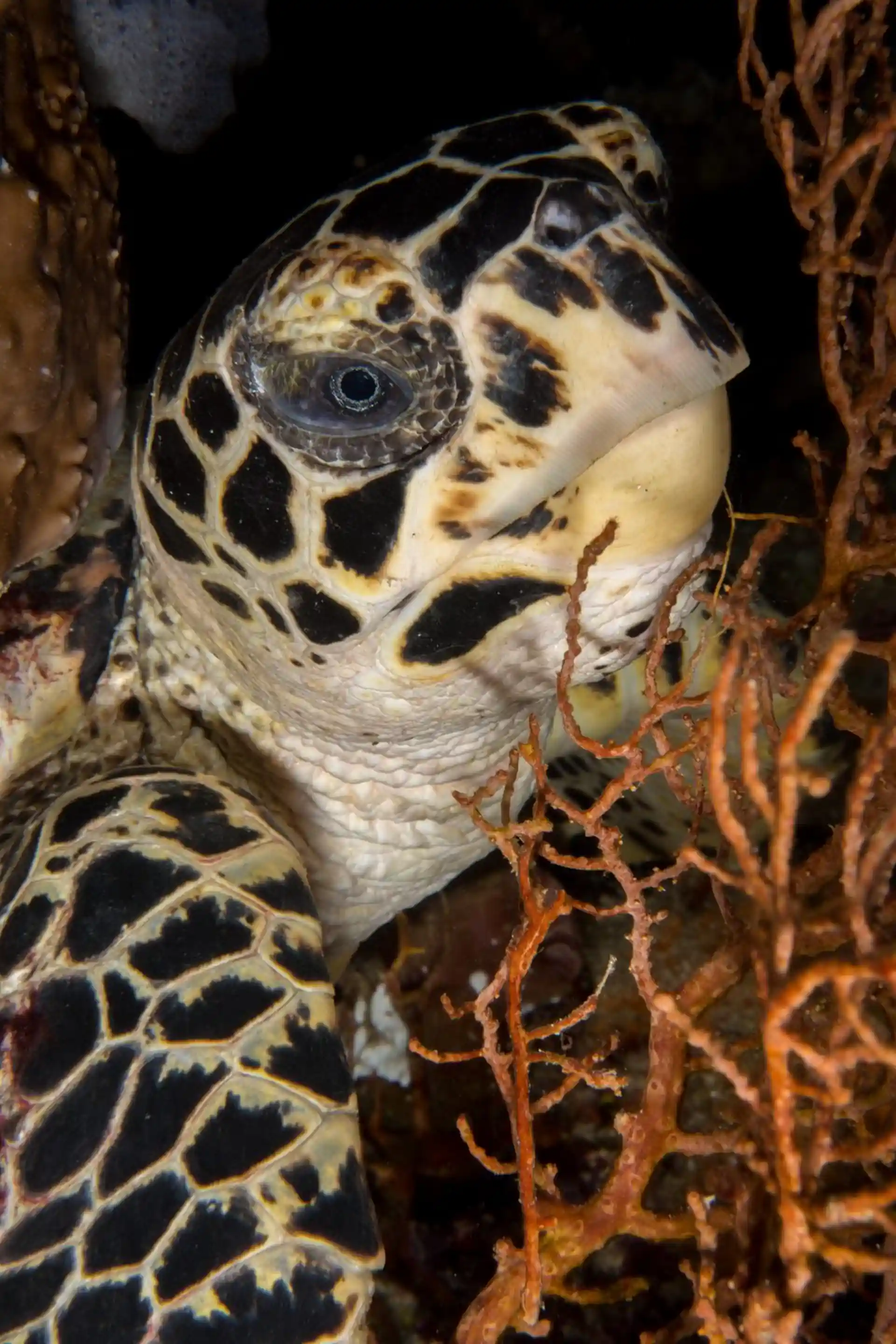 Foto des Tauchplatzes