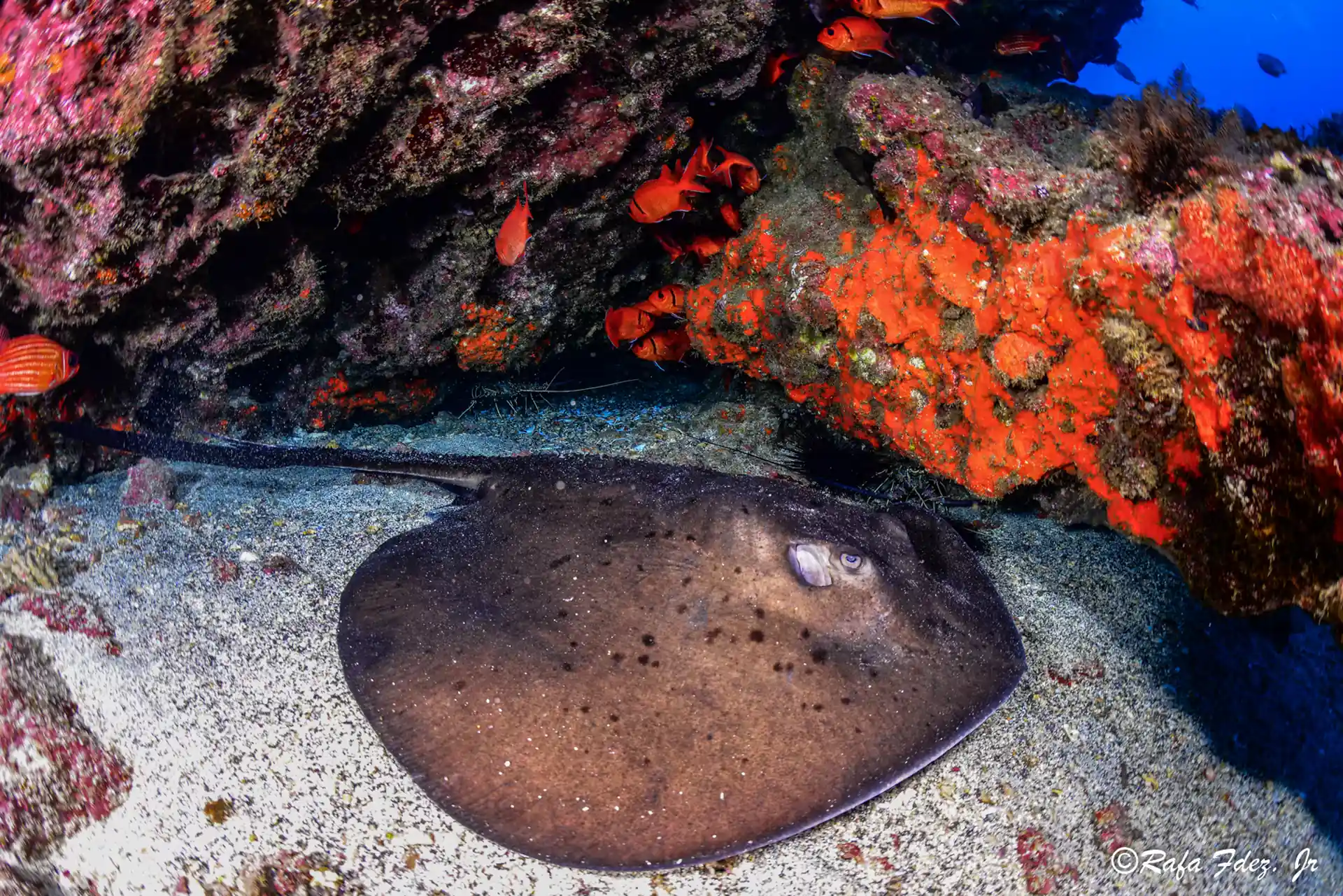 Dive site photo