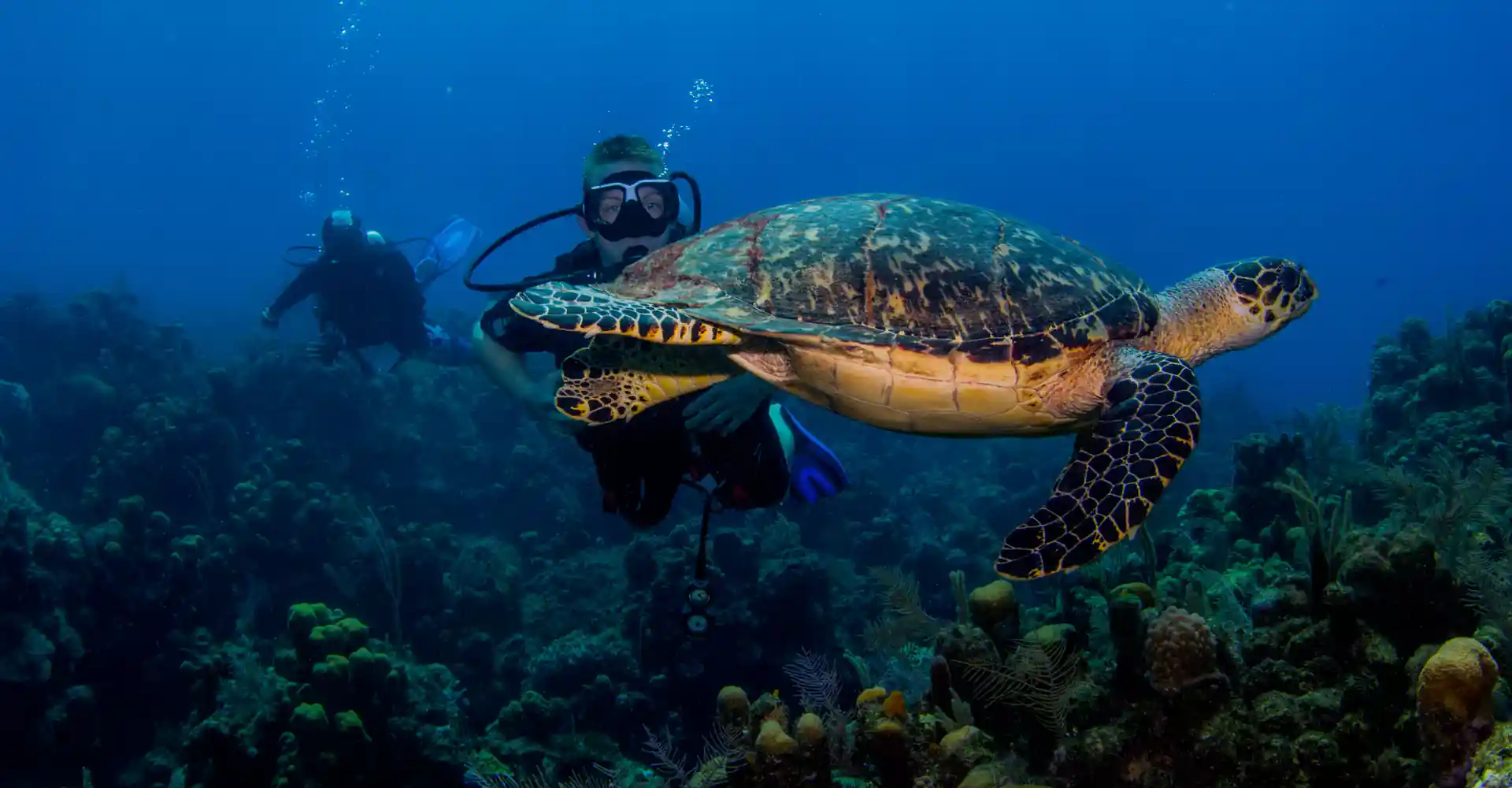 Foto de la actividad