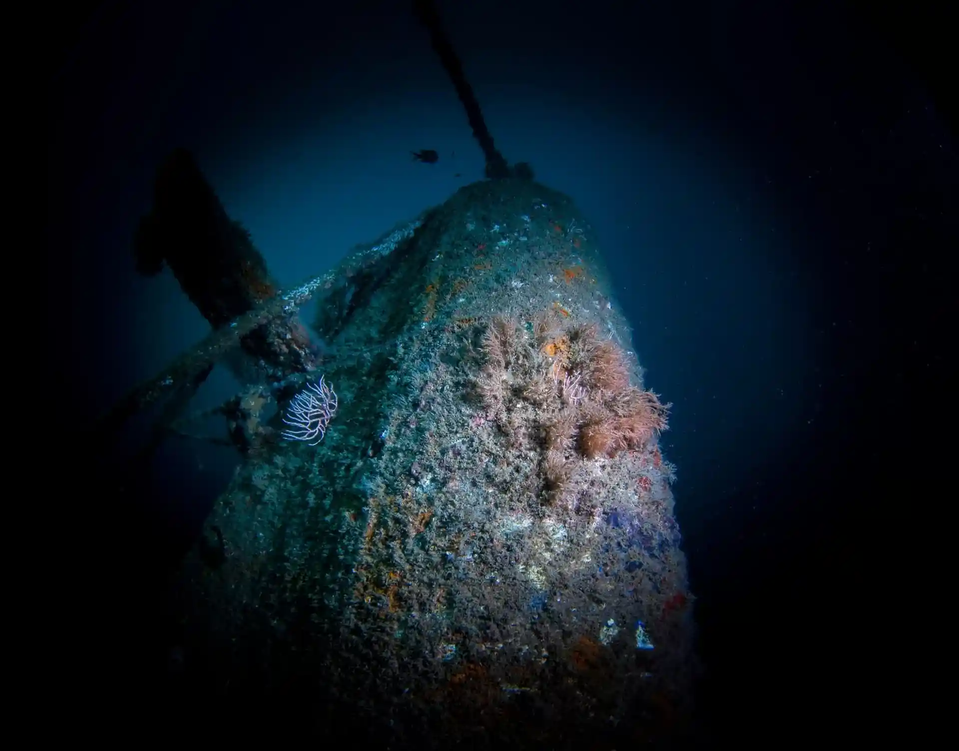 Dive site photo