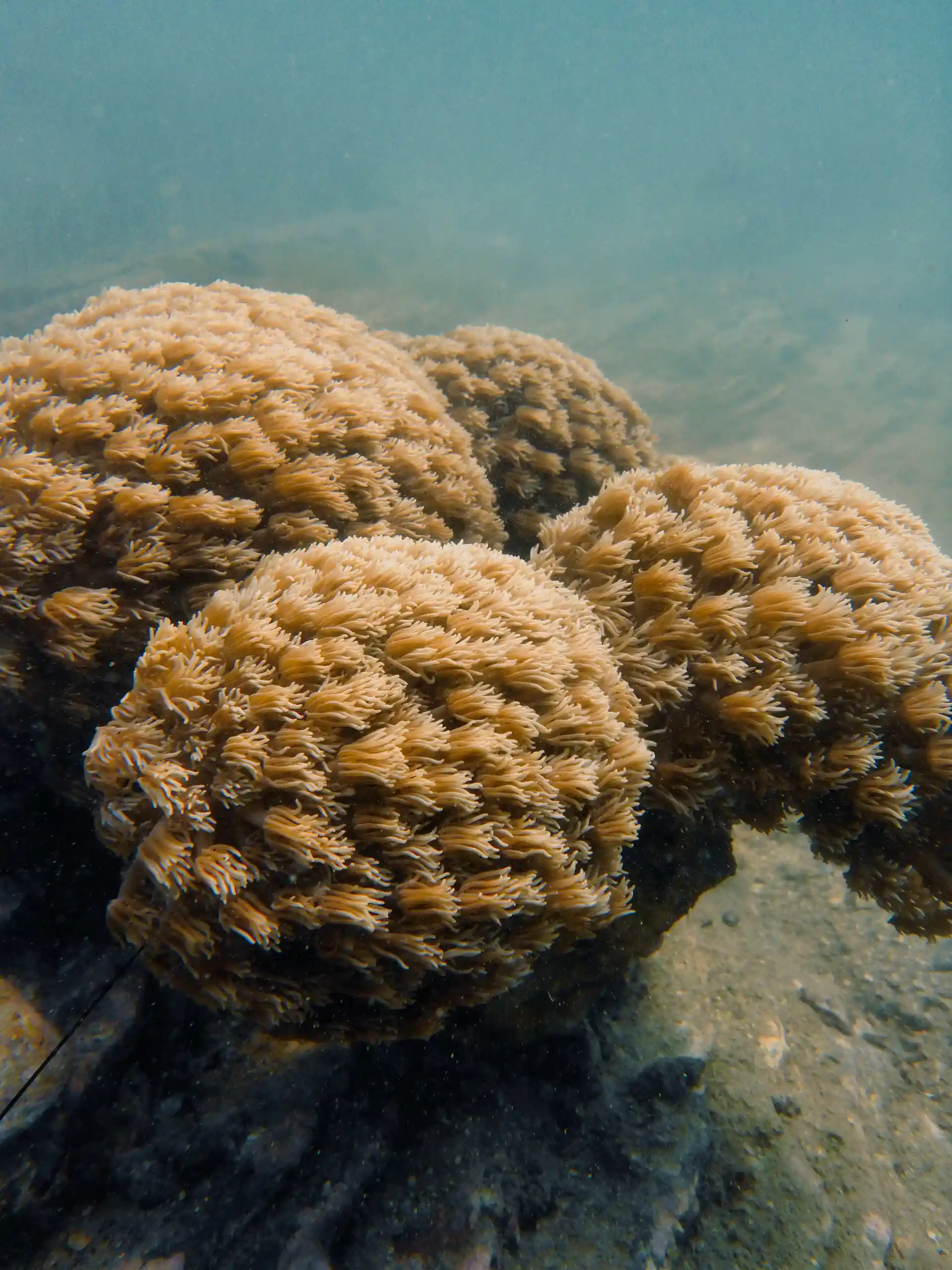 Dive shop photo