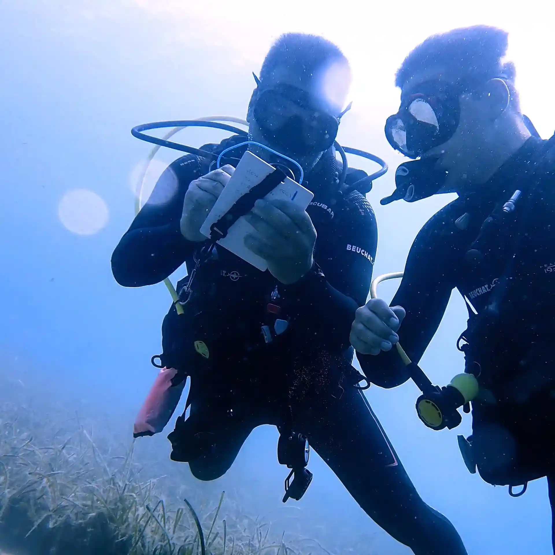 Dive shop photo
