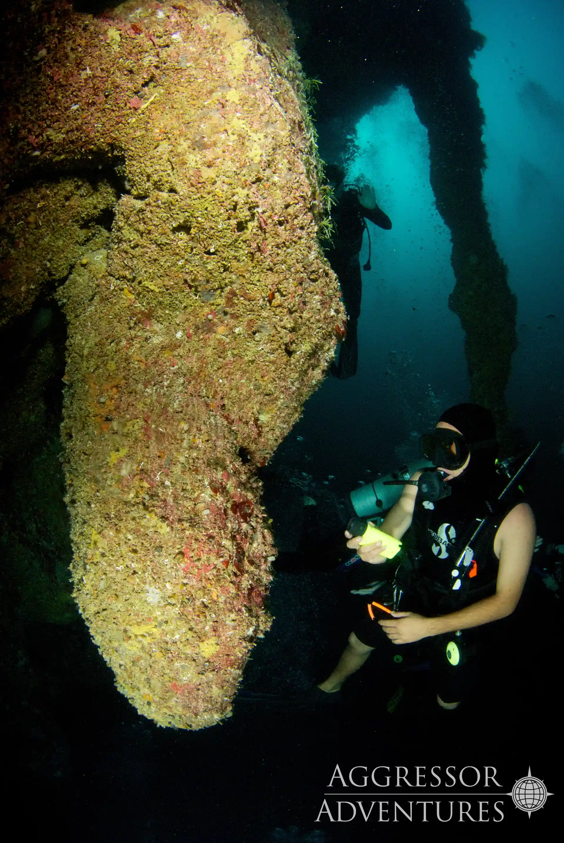 Dive shop photo